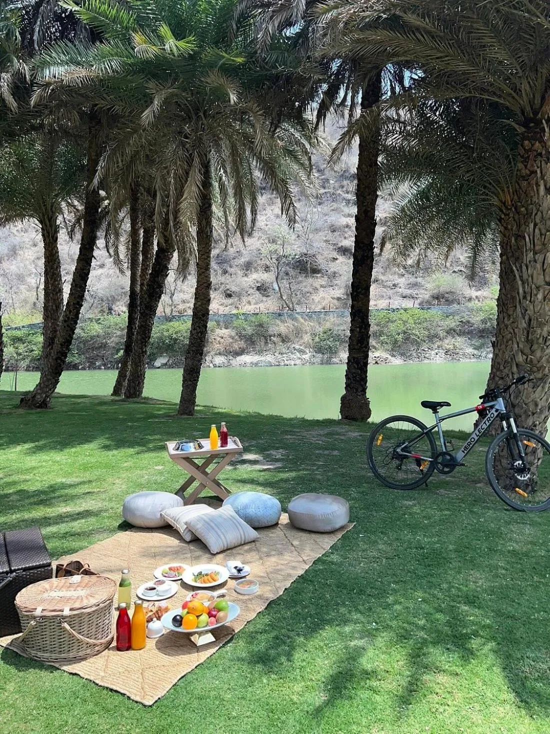 Natural landscape in Mementos by ITC Hotels, Ekaaya, Udaipur