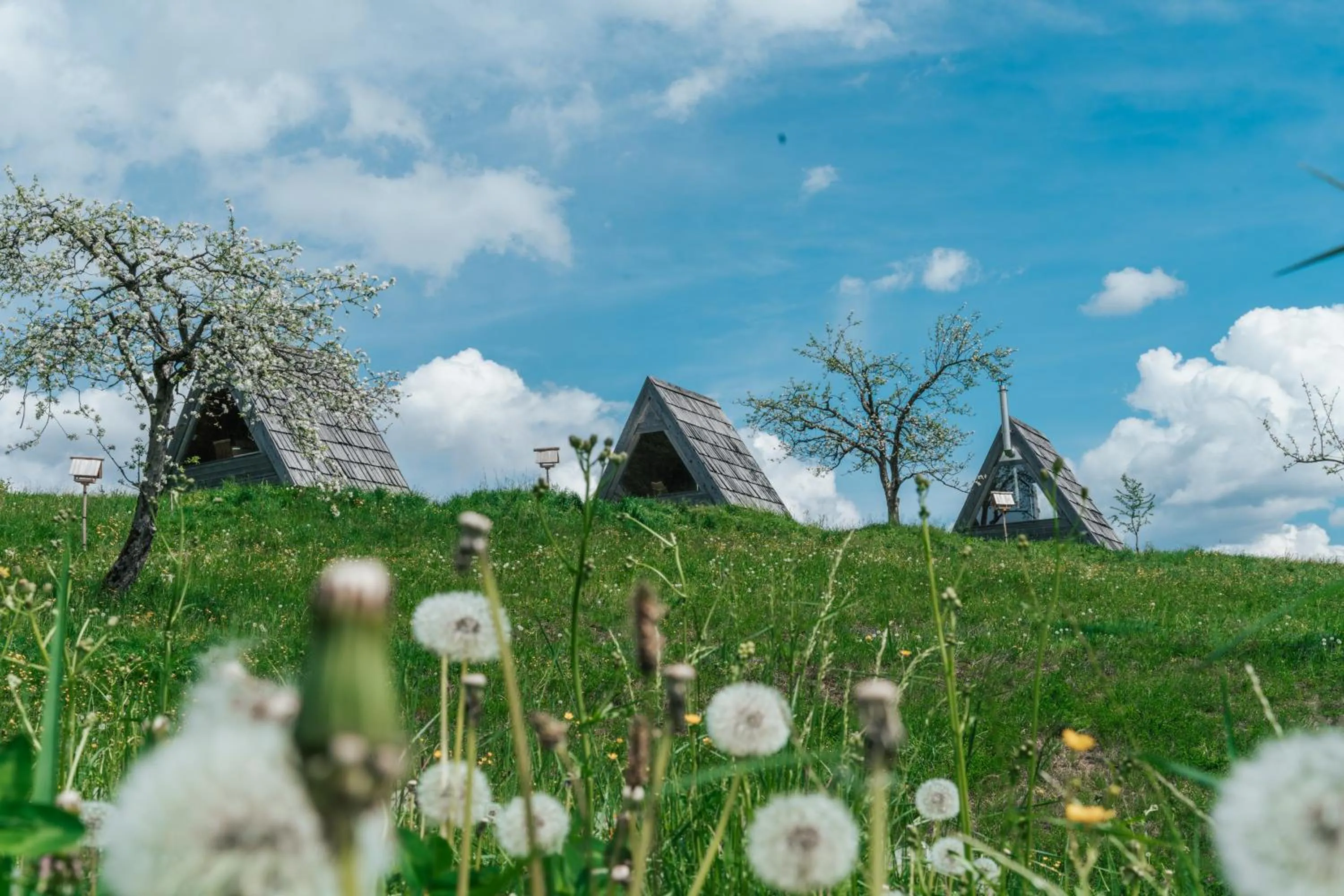Natural landscape in Eko Glamping Resort Krištof