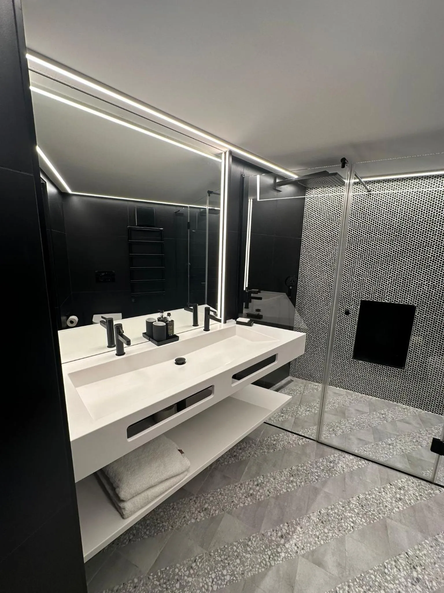 Shower in Fesh Lofts