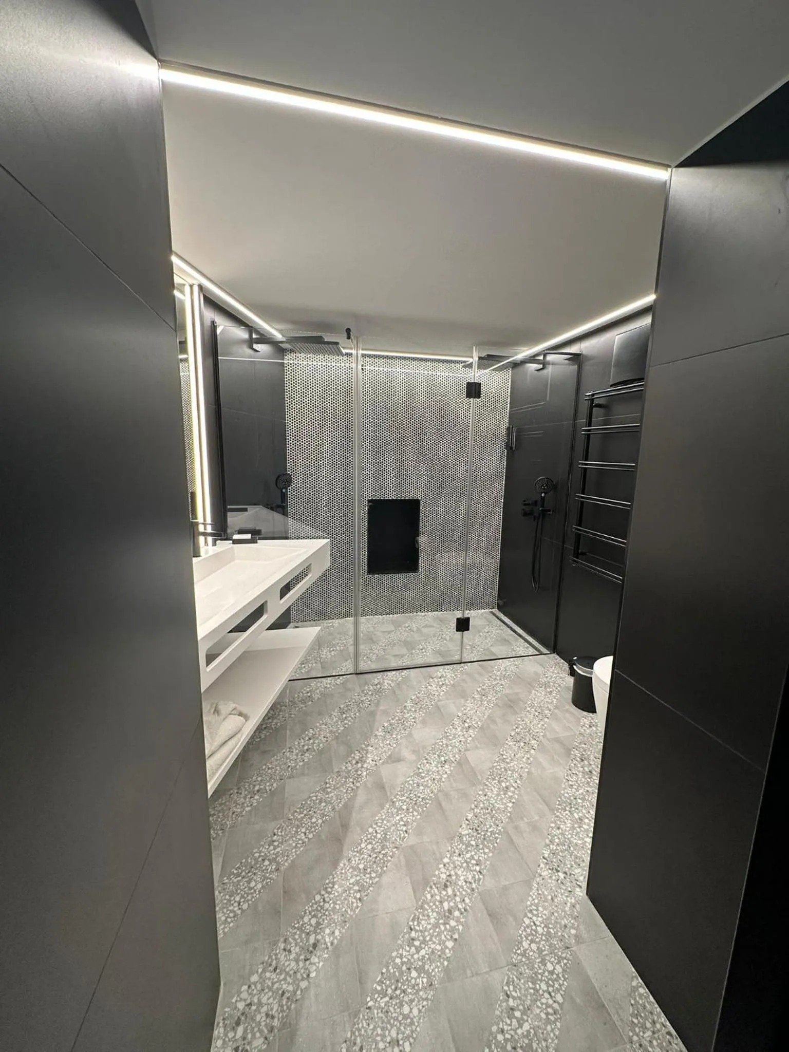 Shower in Fesh Lofts