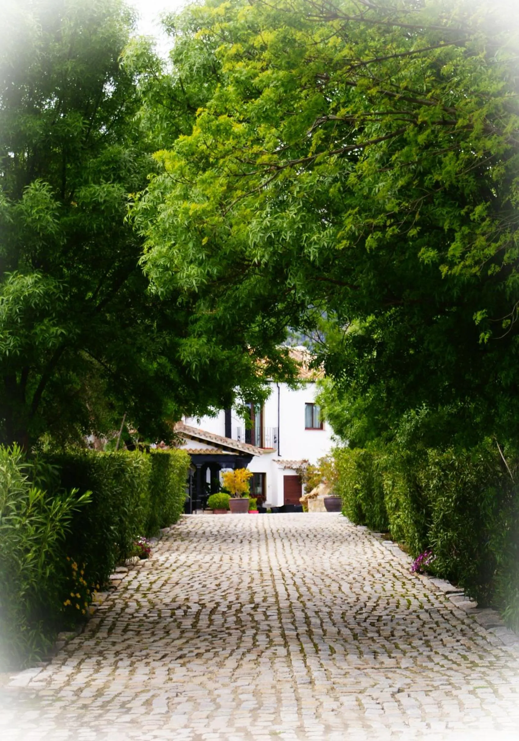 Facade/entrance in Cortijo Salinas