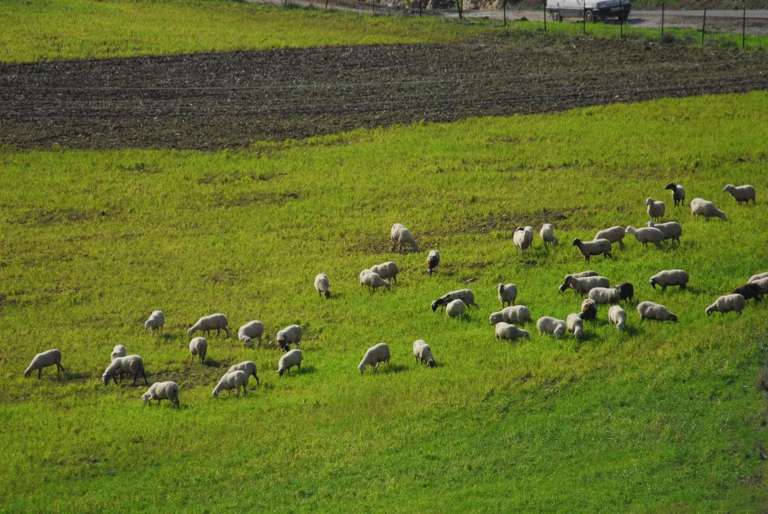 Area and facilities in Cortijo Salinas