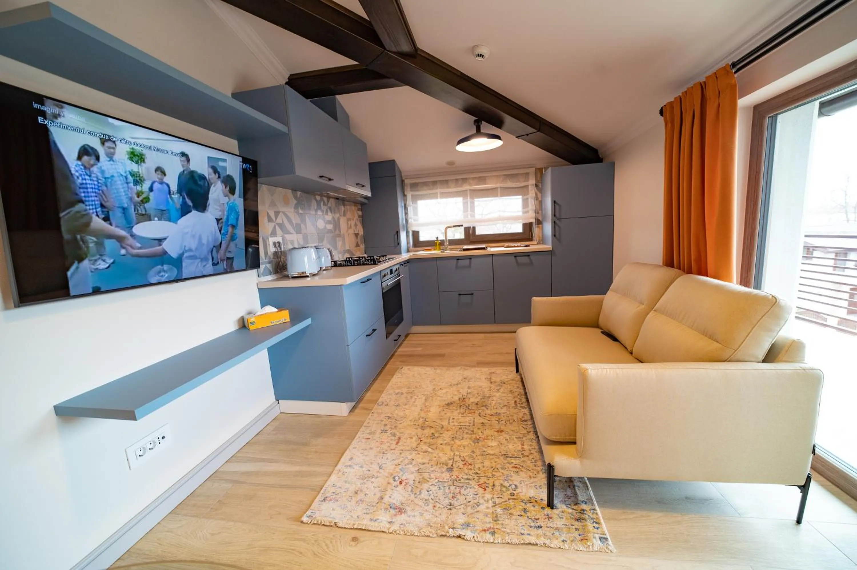 TV and multimedia in First Apartments