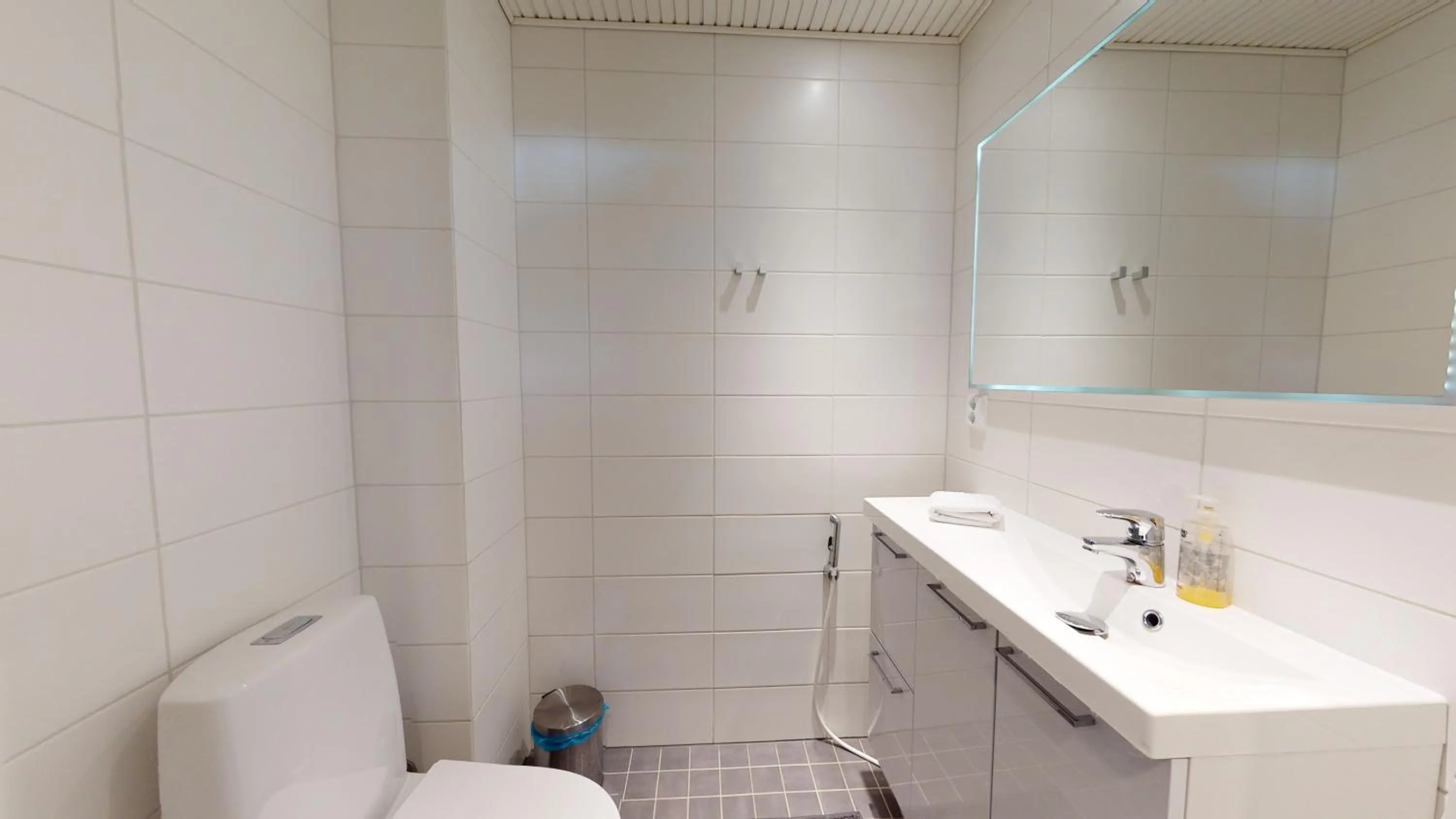 Toilet in Sandy Kelt - Irish House Apartments