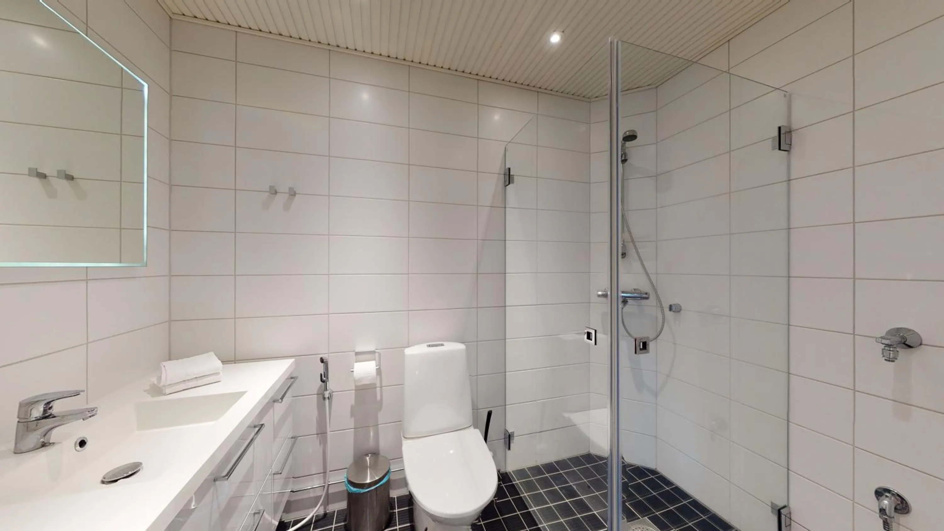 Bathroom in Sandy Kelt - Irish House Apartments