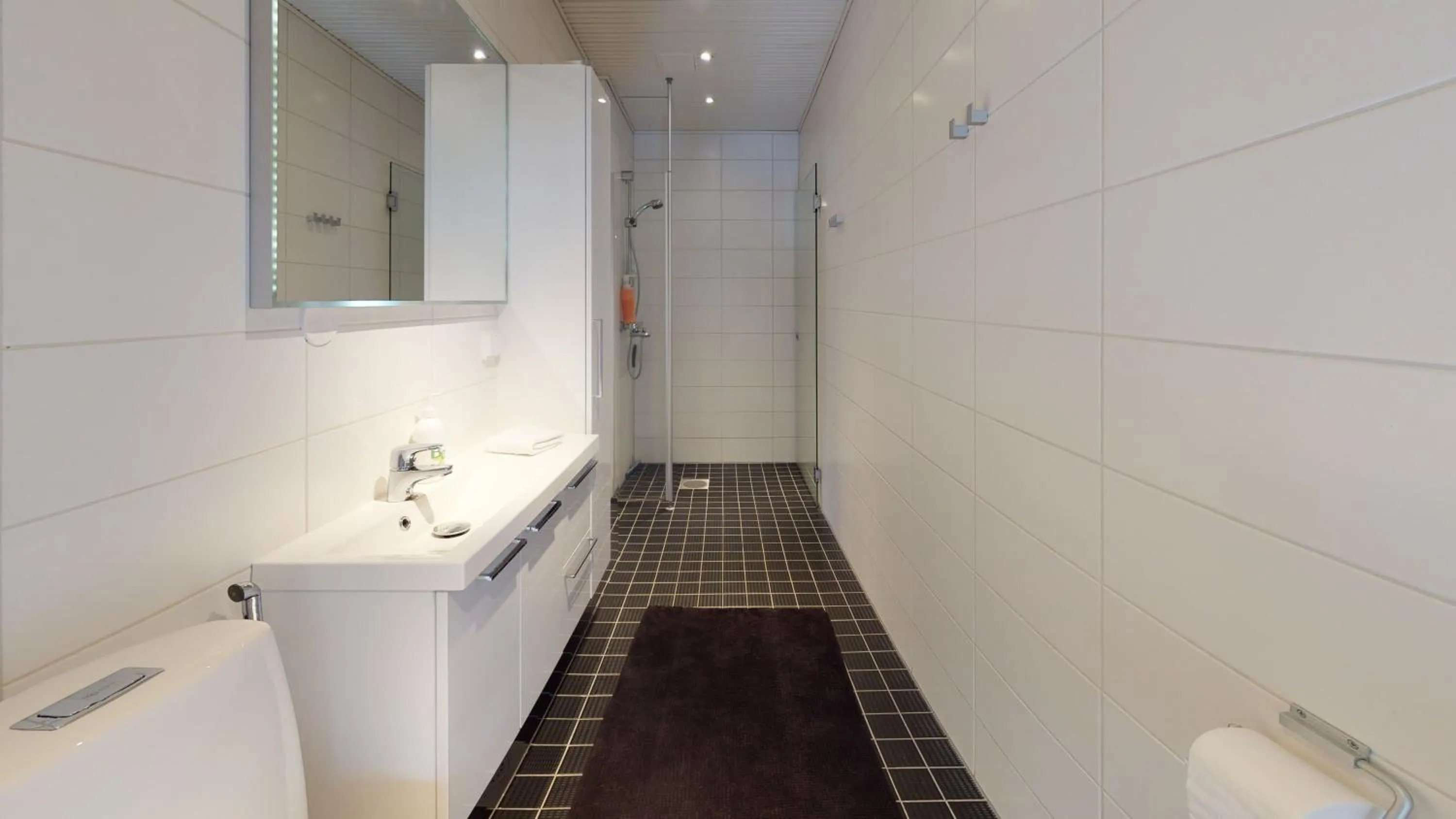 Bathroom in Sandy Kelt - Irish House Apartments