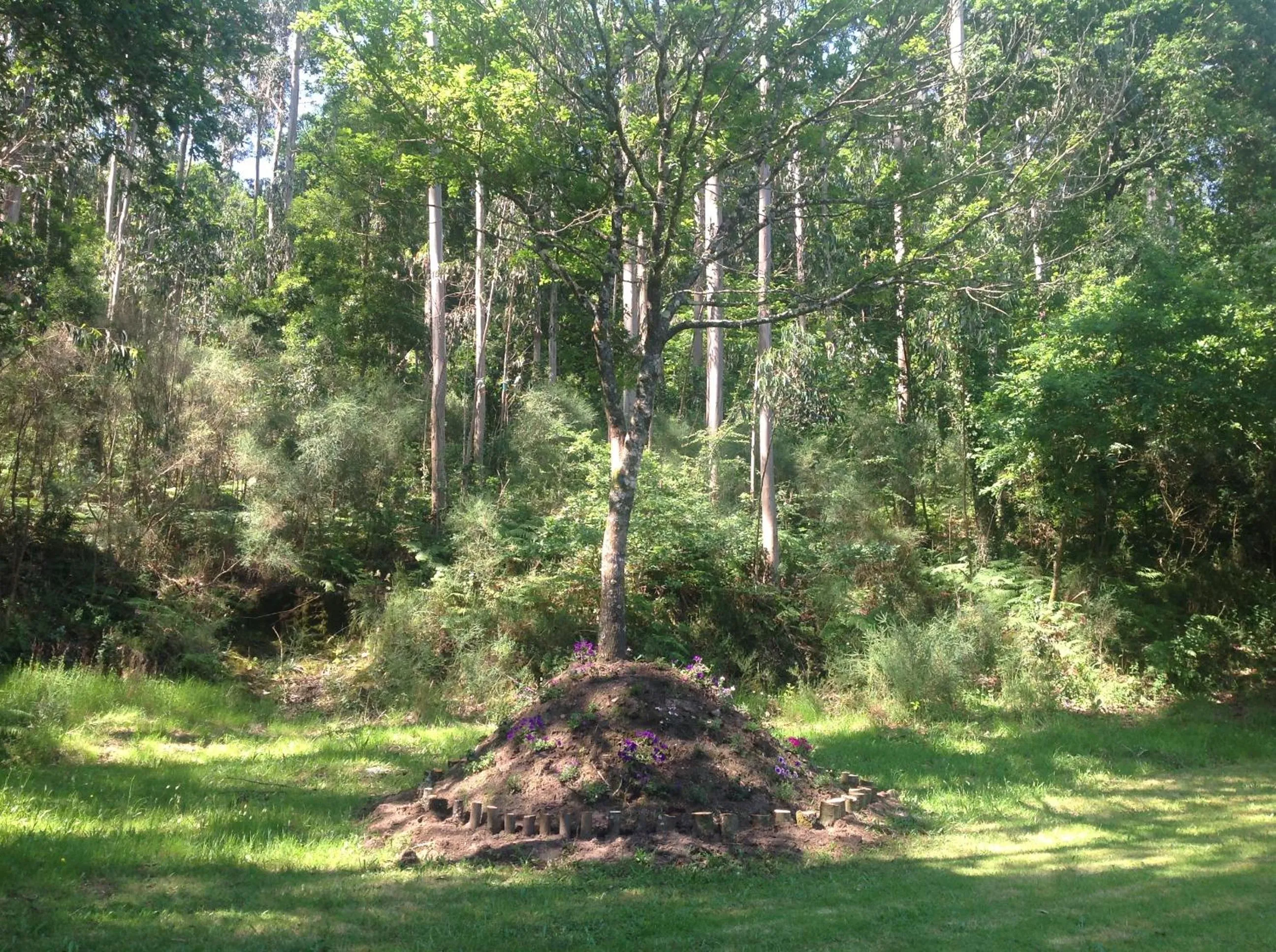 Garden in Pazo Larache