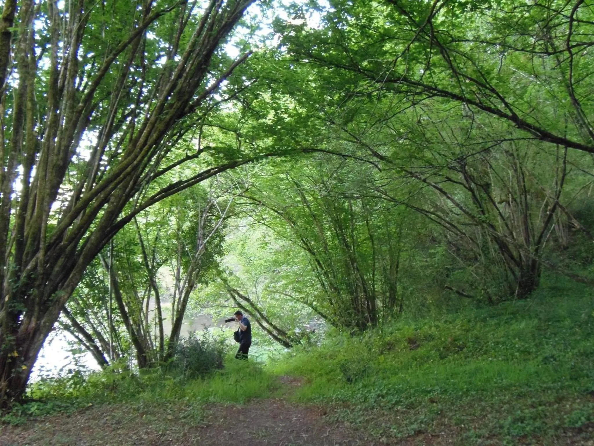 Area and facilities in Pazo Larache
