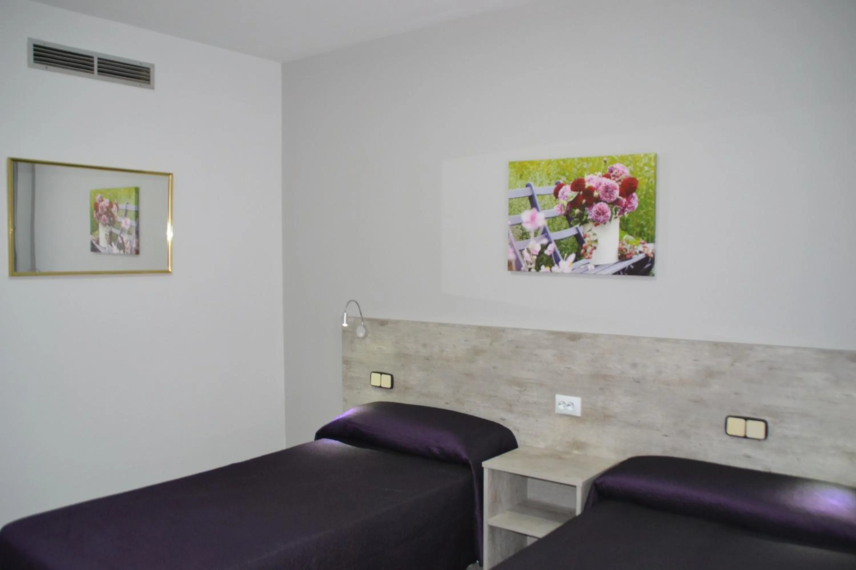 Photo of the whole room in Hotel Congra