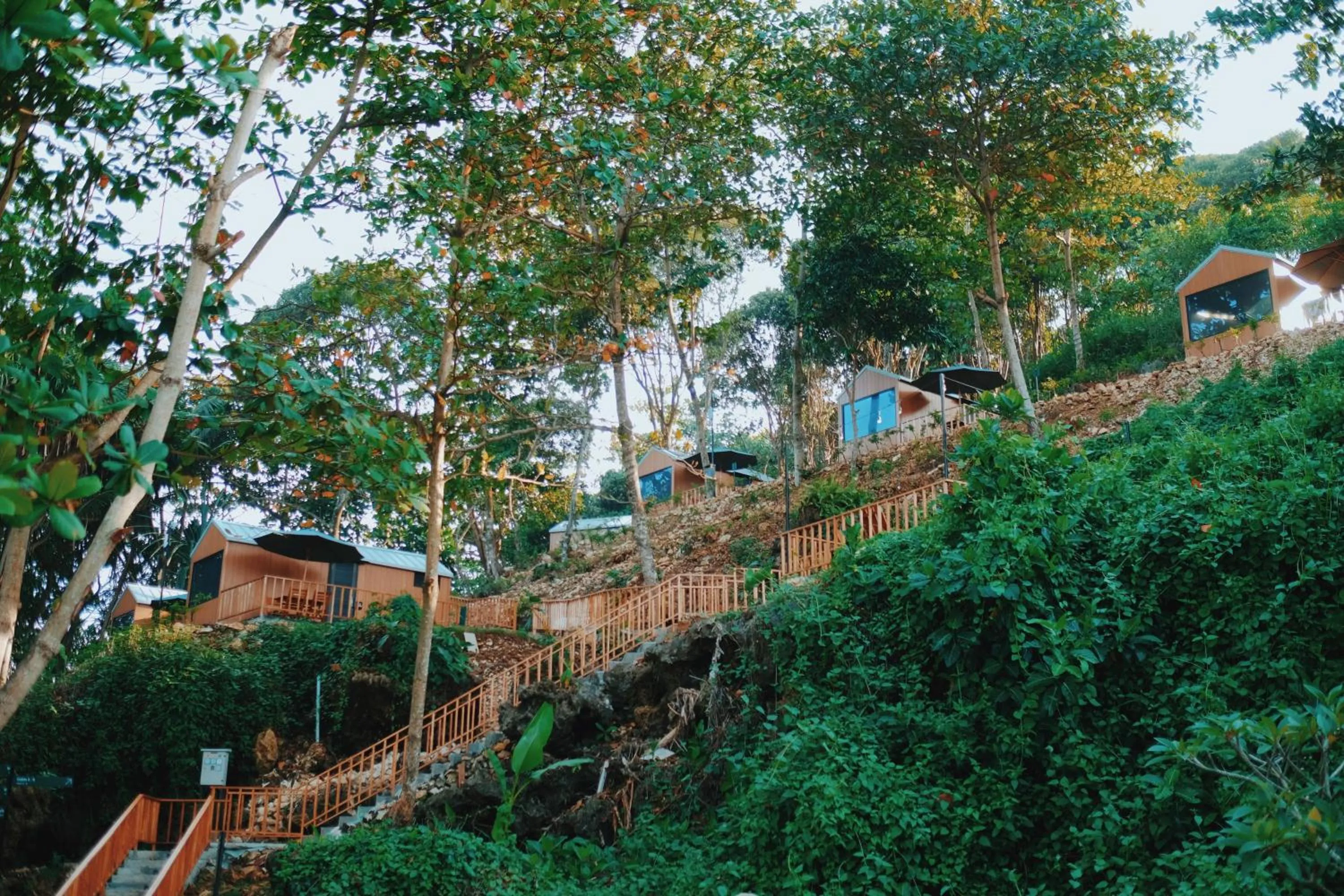 Natural landscape in Bobocabin Madasari, Pangandaran
