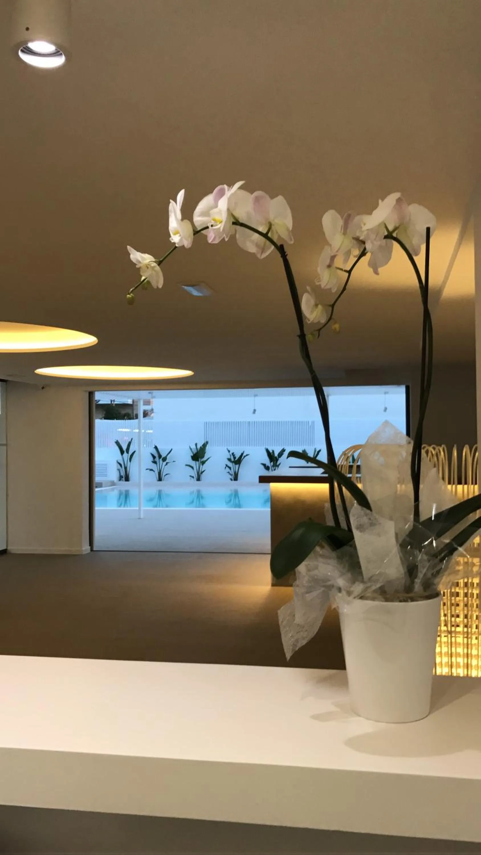 White Apartments - Adults Only