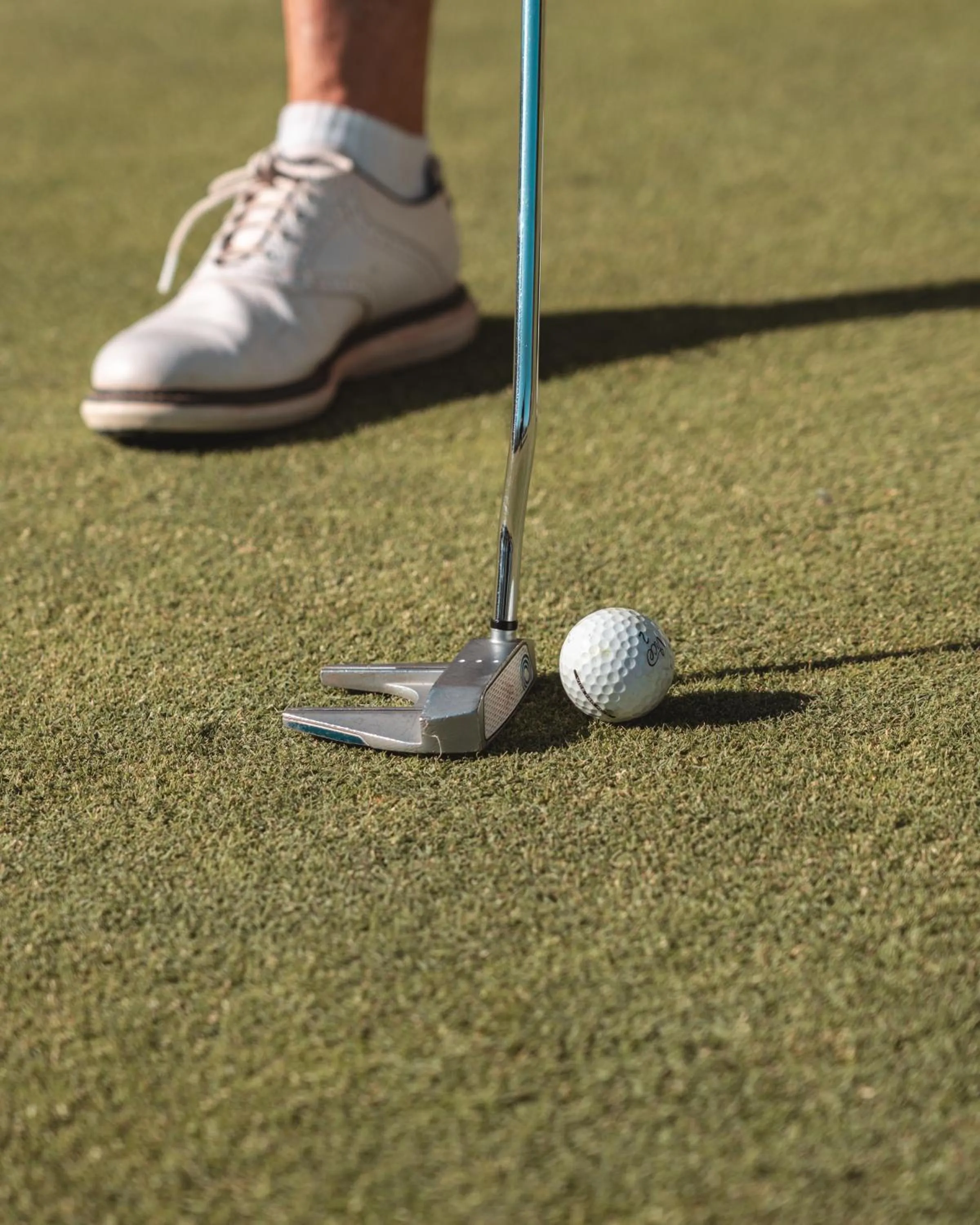 Golfcourse in Reserva Rotana Golf Resort