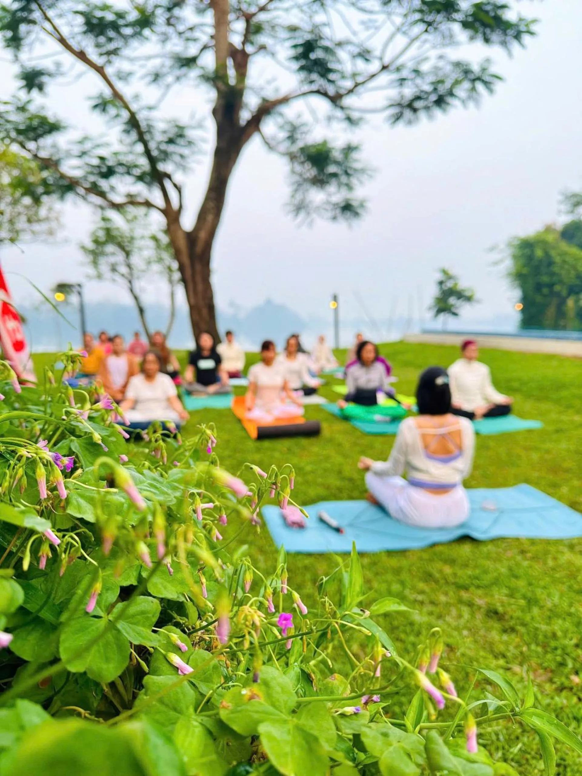 Day in La Y Riverview