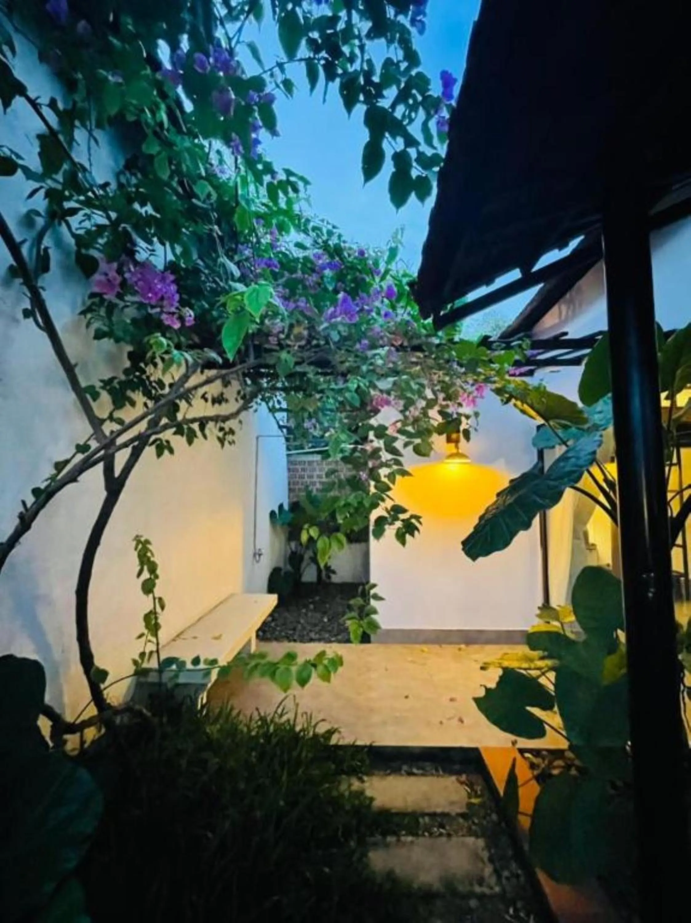 Patio in La Y Riverview