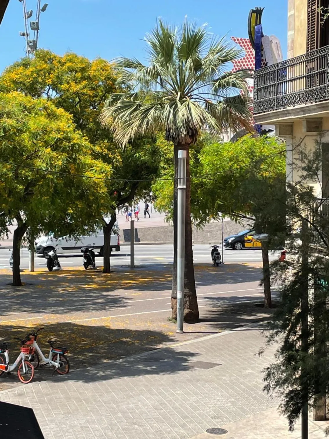 Nearby landmark in Som Nit Port Vell