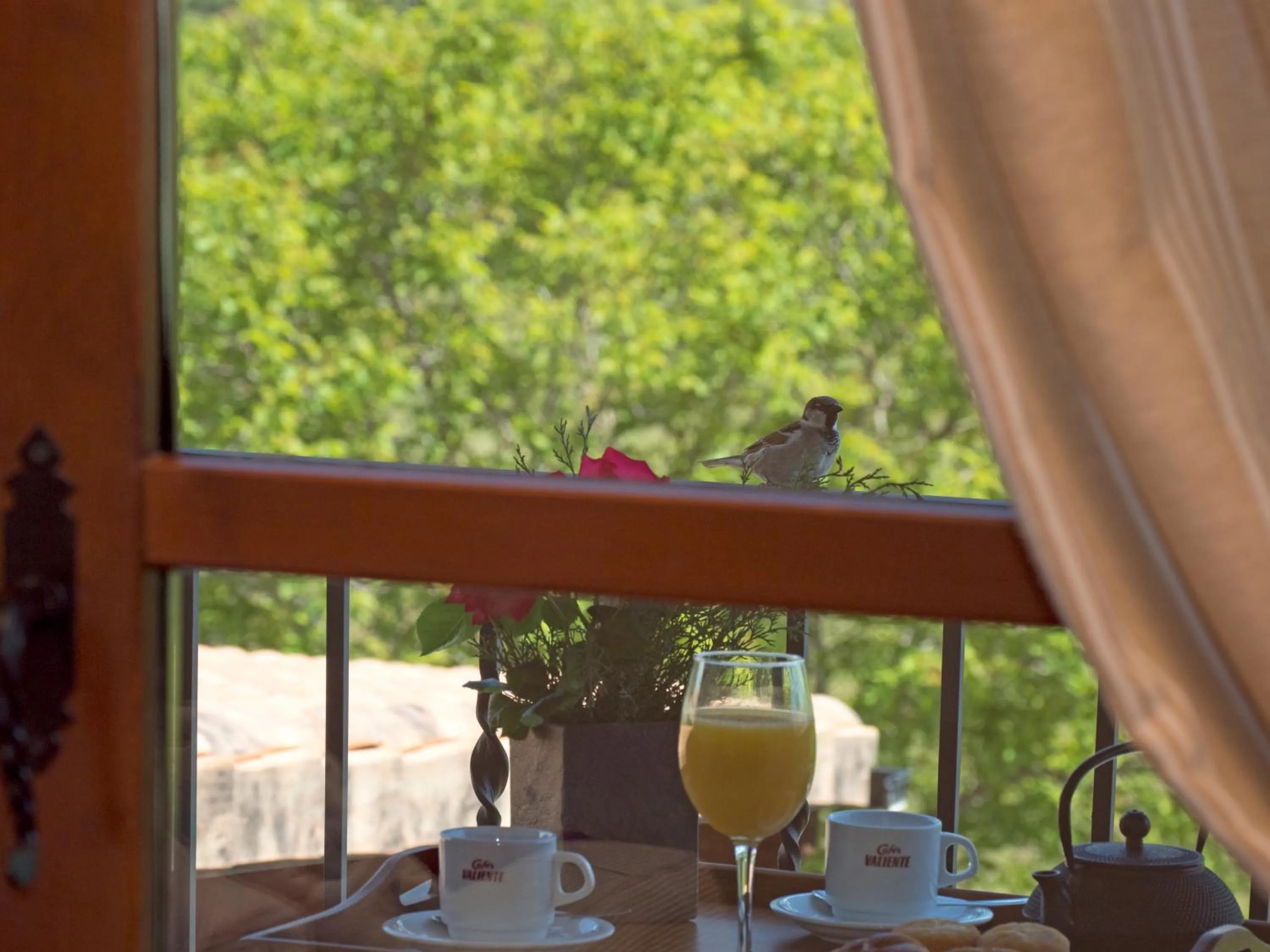 Breakfast in Hotel & SPA Peña Montañesa