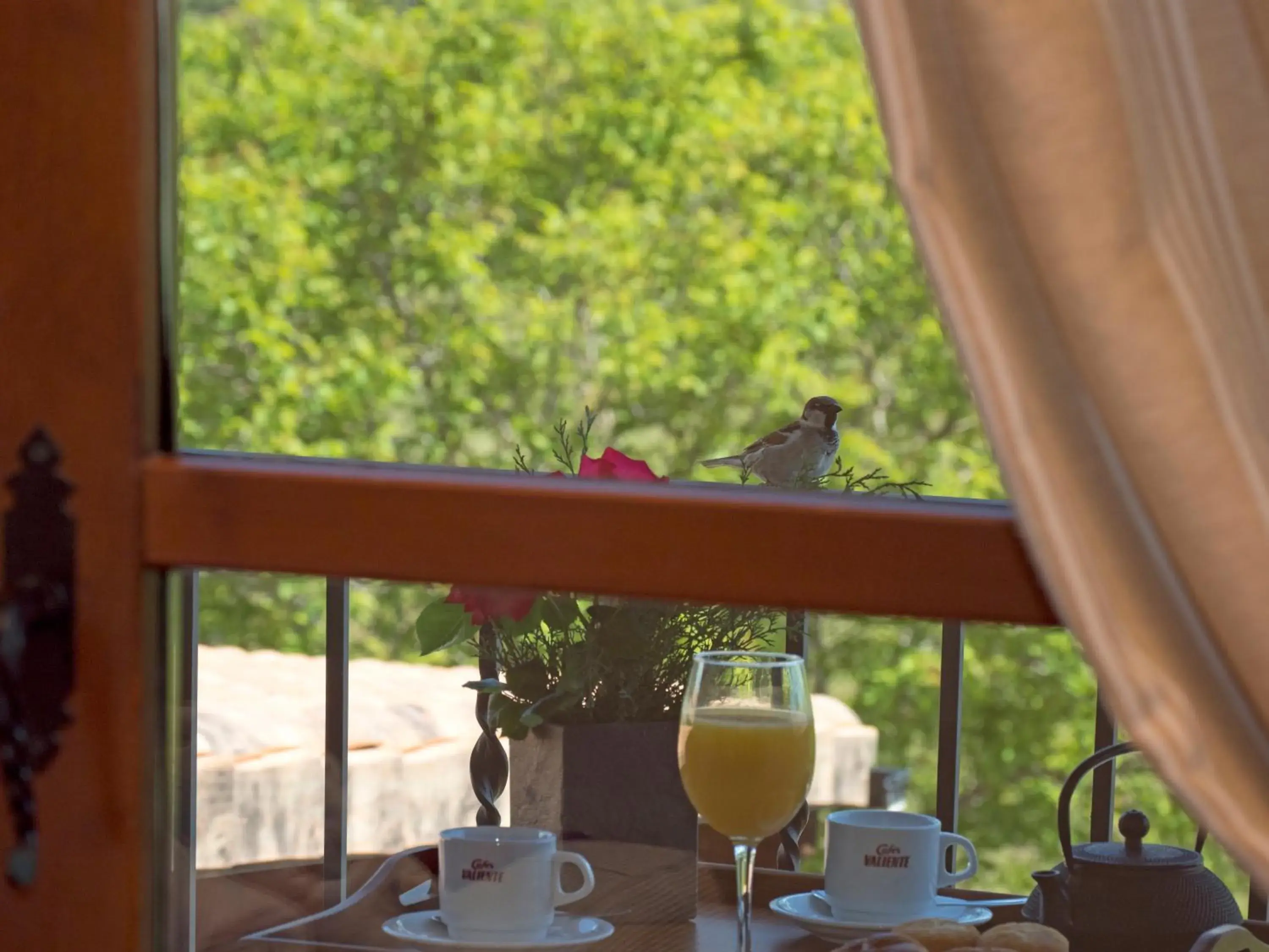 Superior Double Room in Hotel & SPA Peña Montañesa Superior Double Room in Hotel & SPA Peña Montañesa