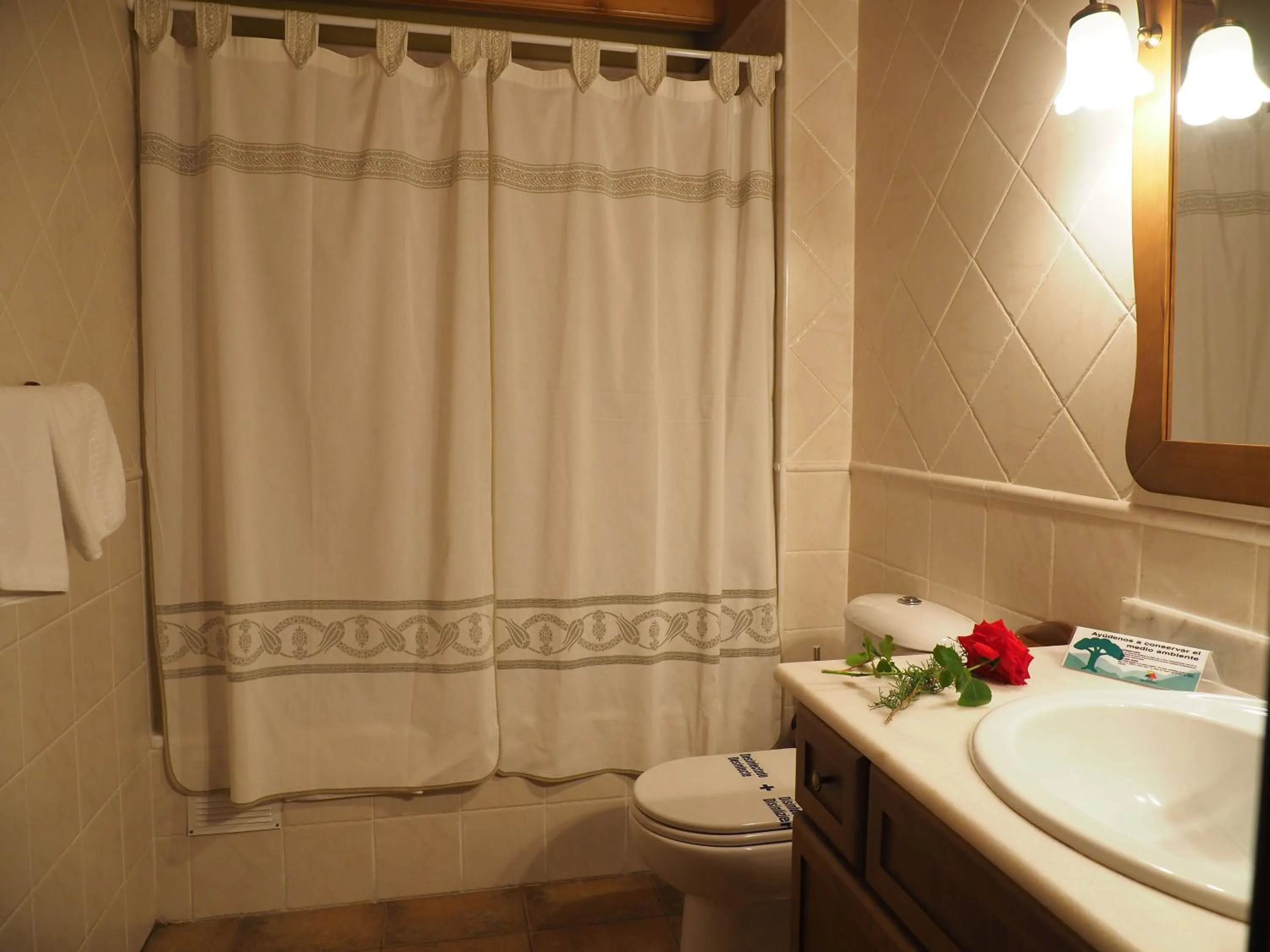 Bathroom in Hotel & SPA Peña Montañesa