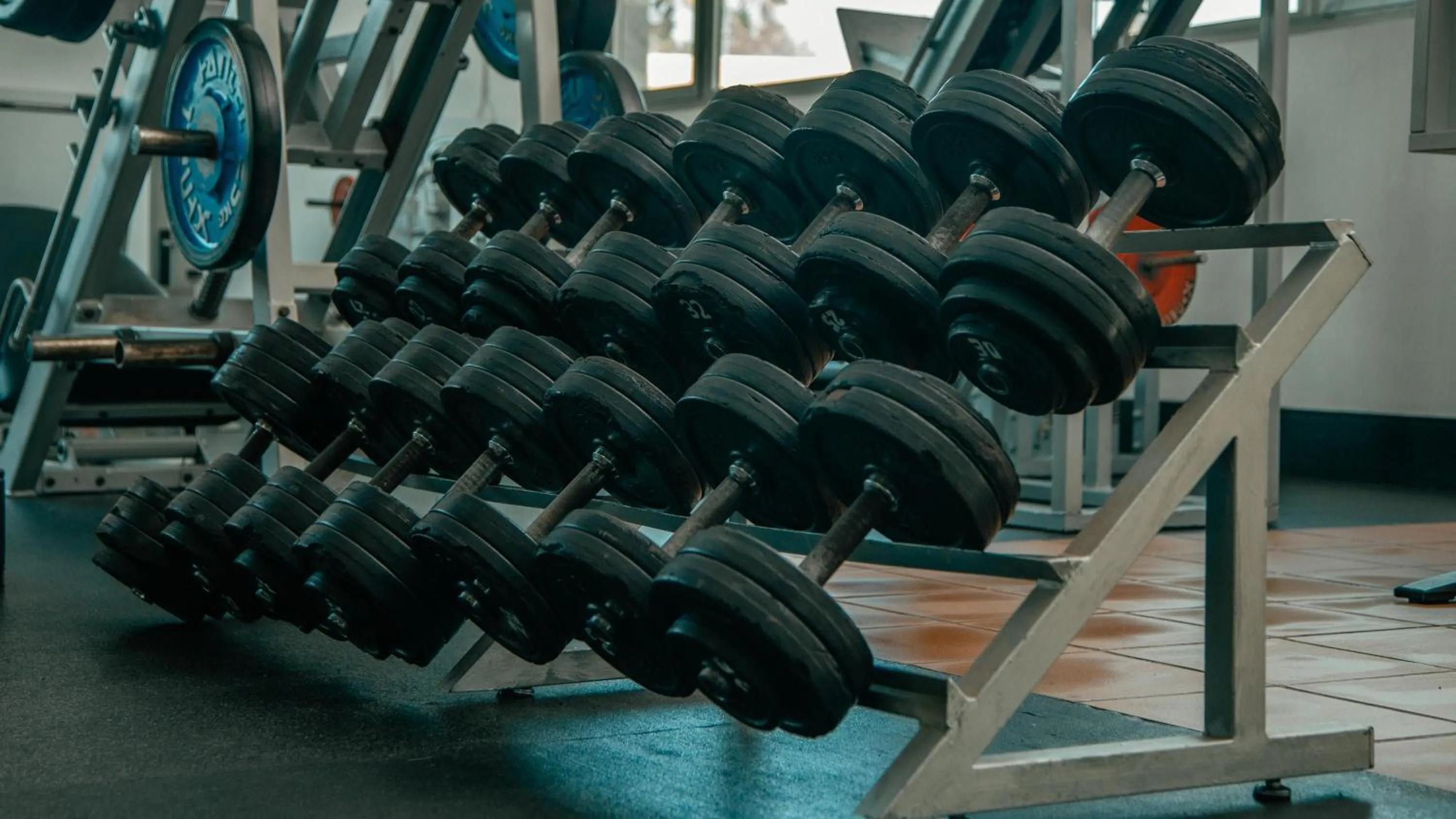 Activities in Labranda Bahía de Lobos