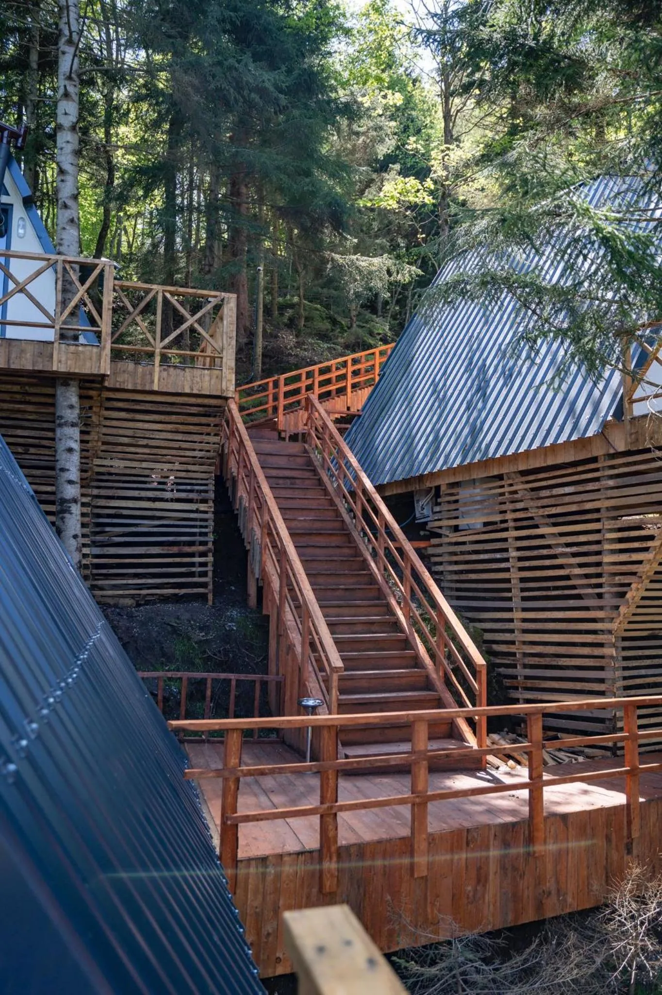 Natural landscape in Montana Suite Bungalows