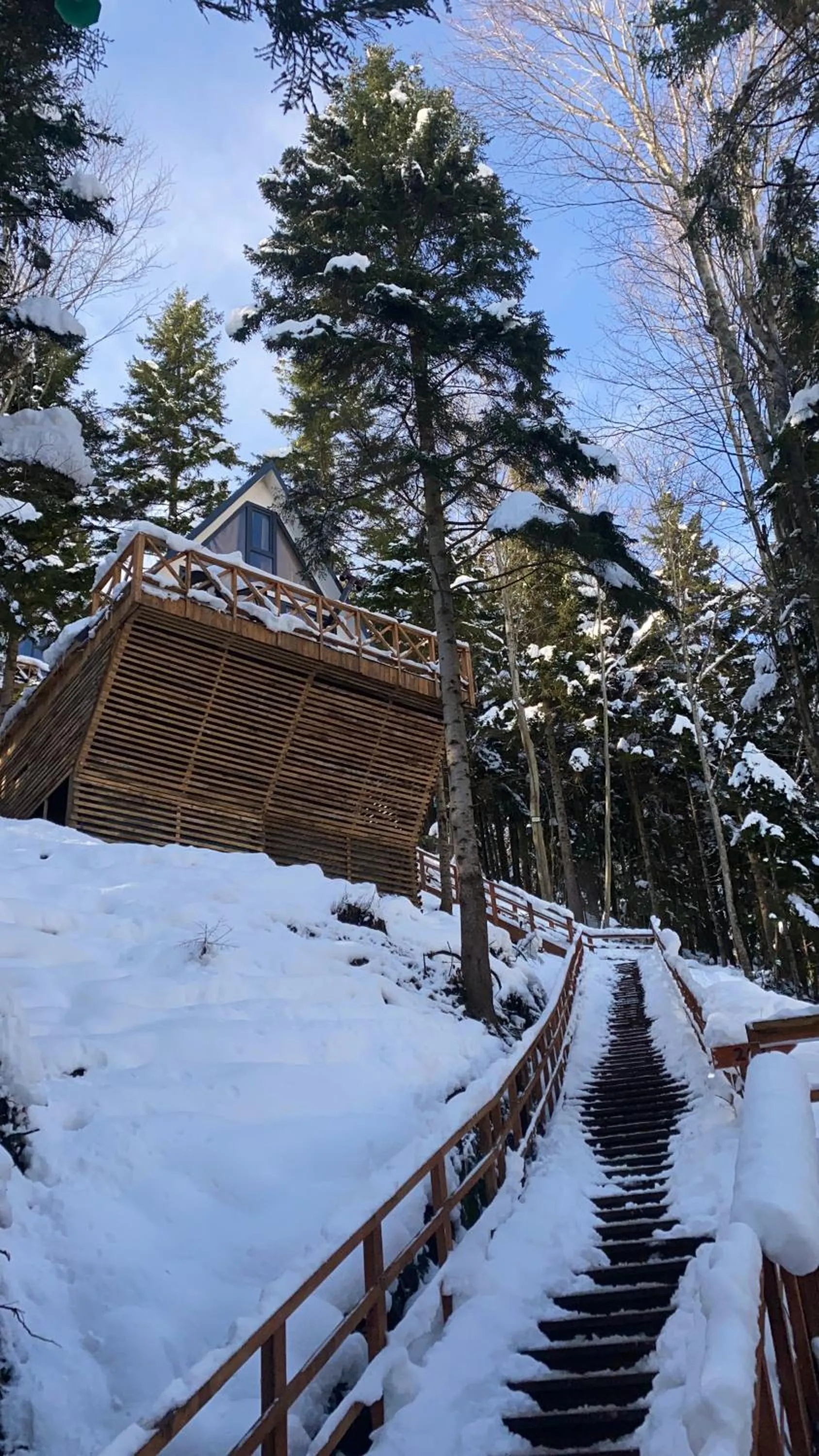 Natural landscape in Montana Suite Bungalows
