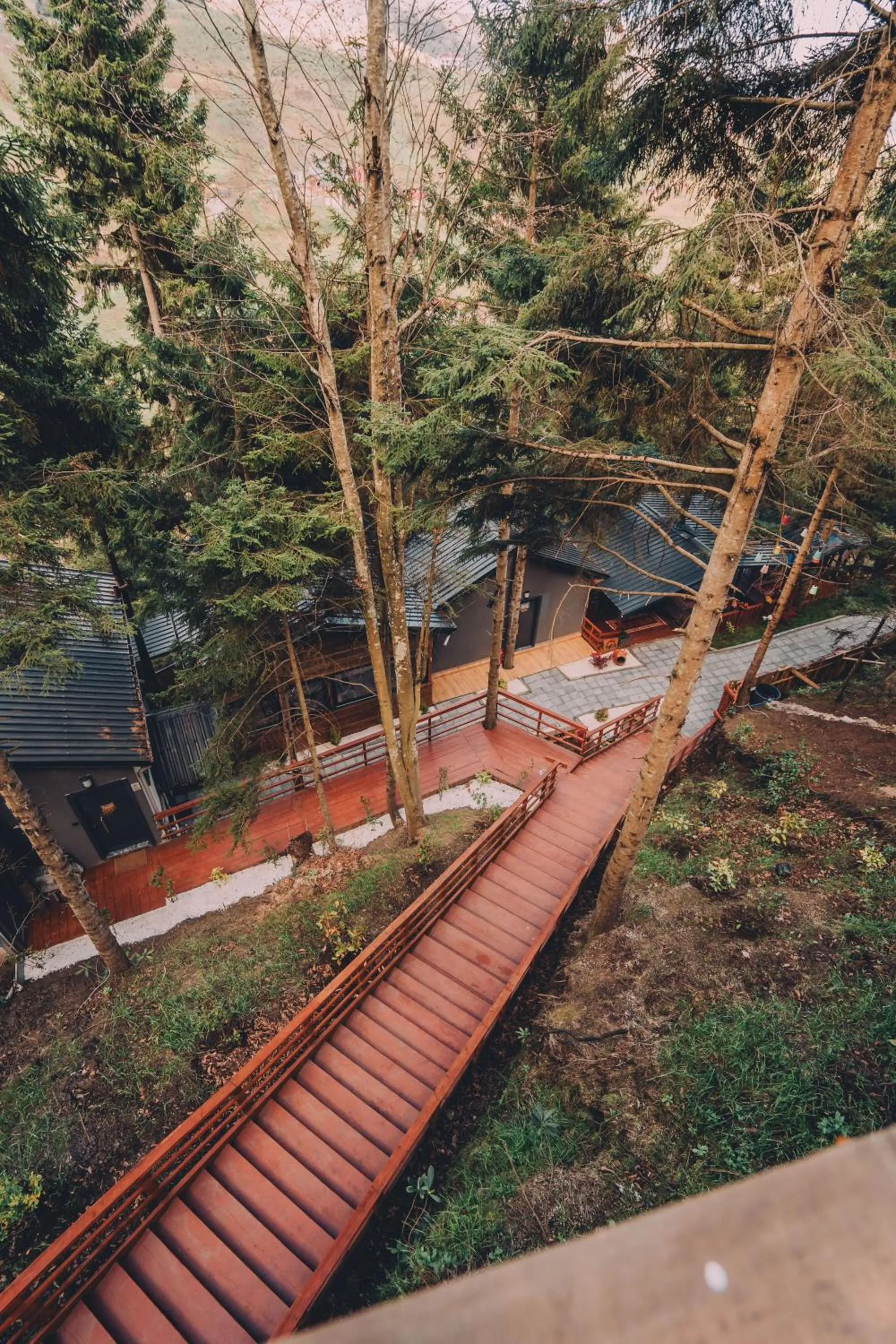Natural landscape in Montana Suite Bungalows