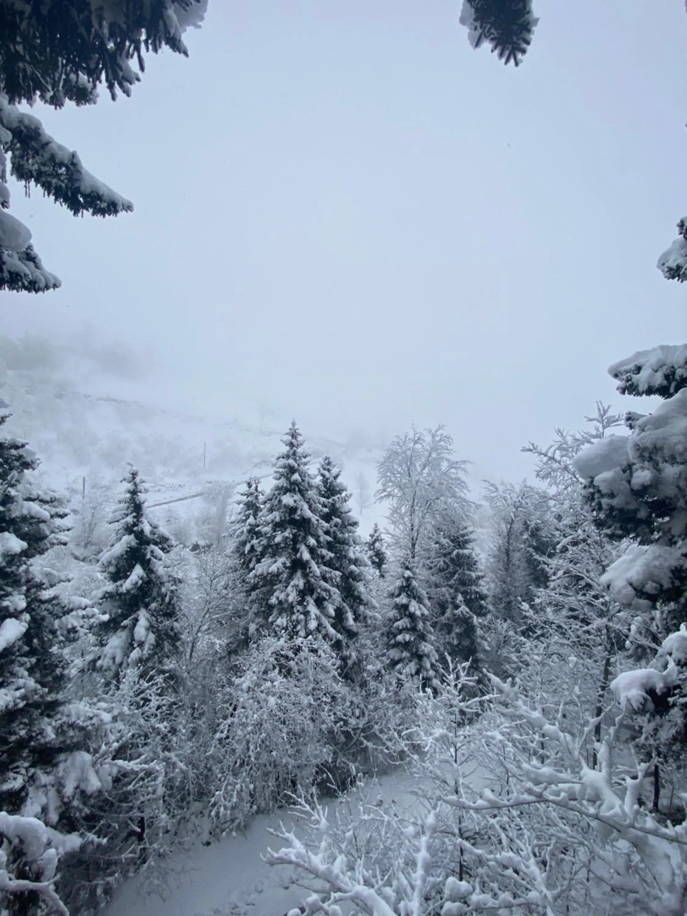 Natural landscape in Montana Suite Bungalows