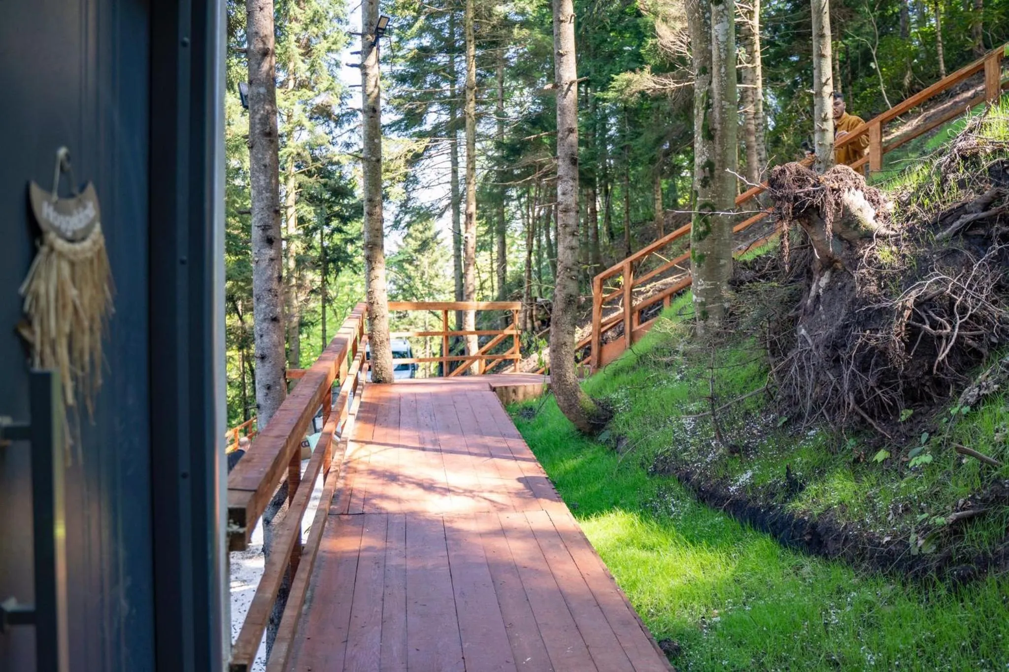 Natural landscape in Montana Suite Bungalows