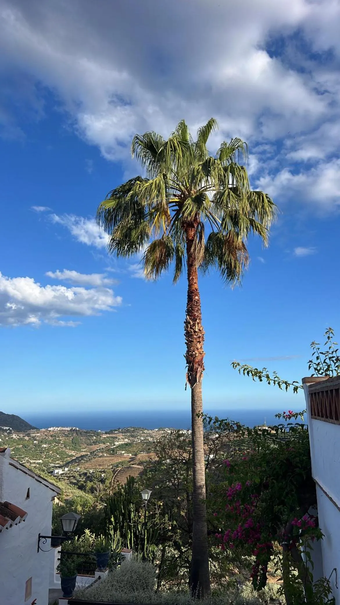 View (from property/room) in Posada Morisca Charming Hotel Boutique