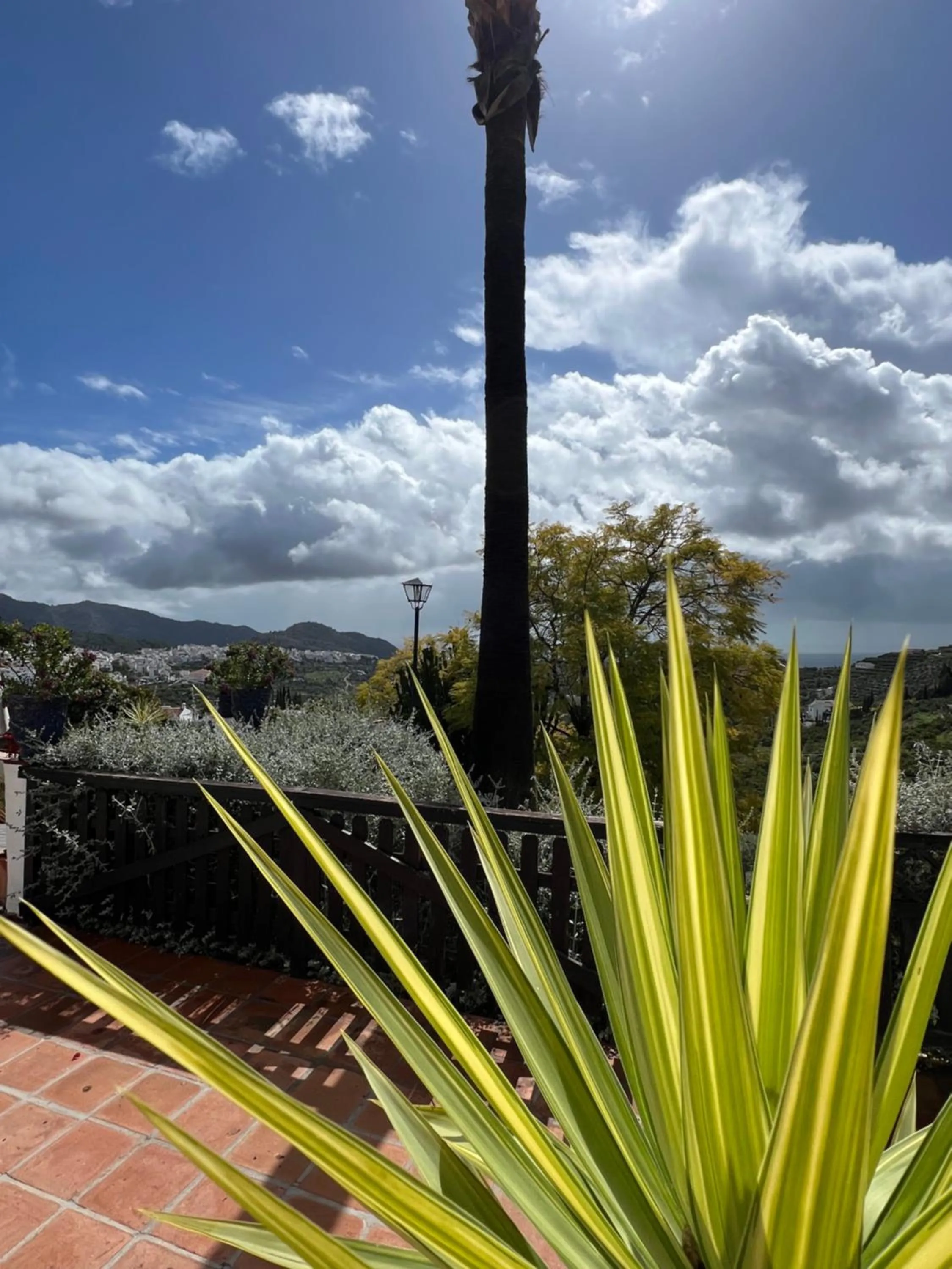 View (from property/room) in Posada Morisca Charming Hotel Boutique
