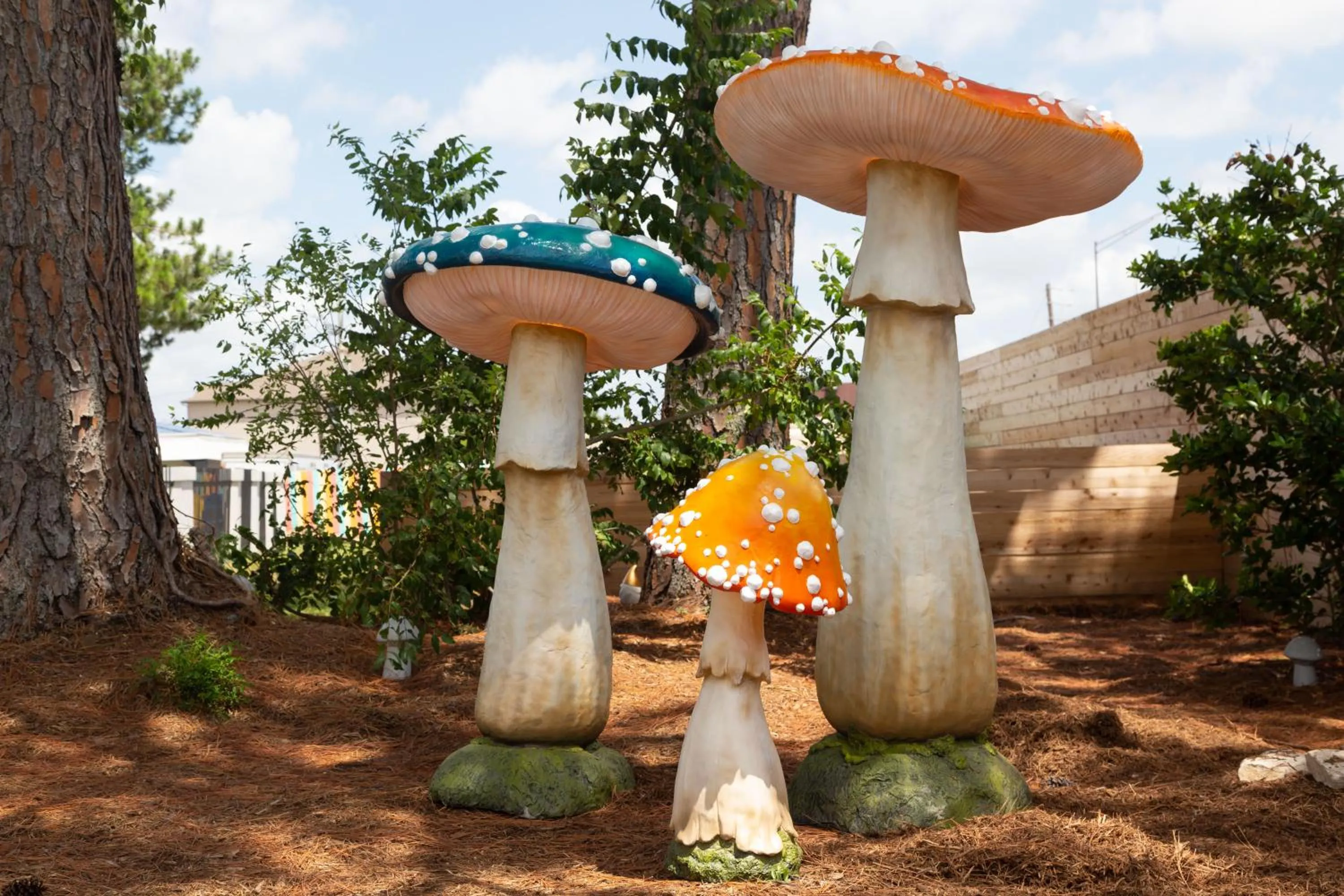 Inner courtyard view in Hotel McCoy - Art, Libations, Pool Society