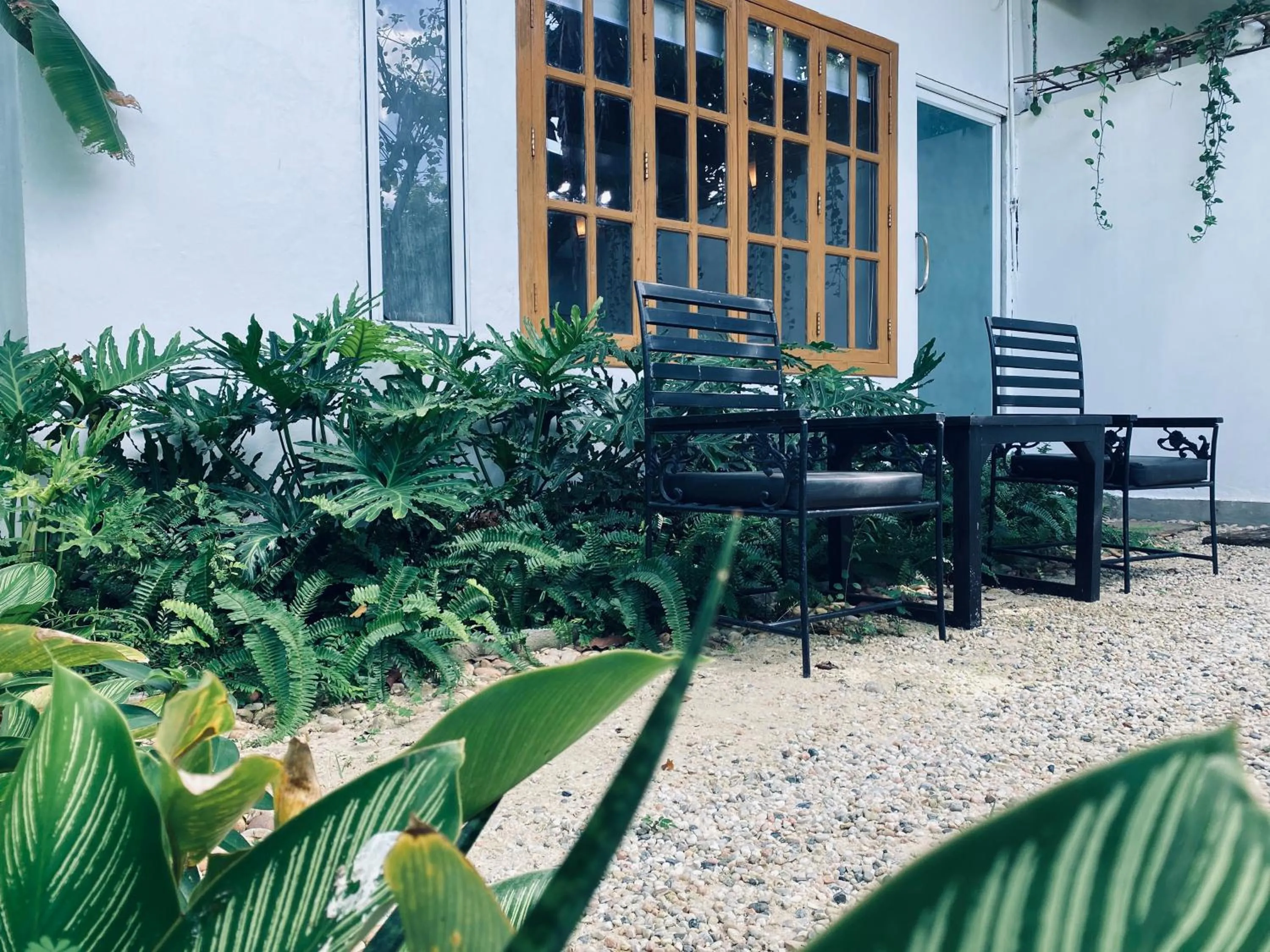 Garden in Amazing Smile Angkor Resort