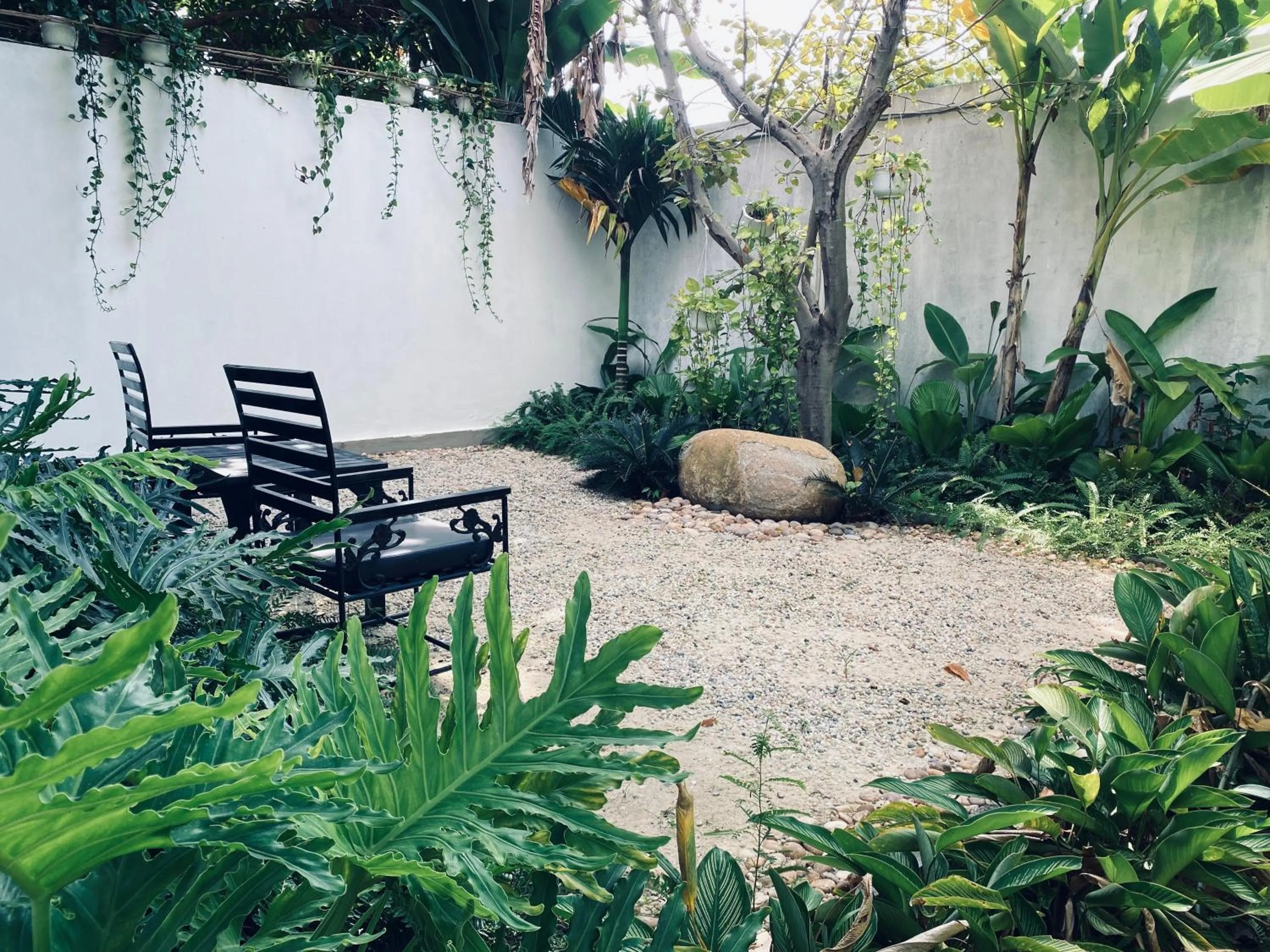 Garden in Amazing Smile Angkor Resort