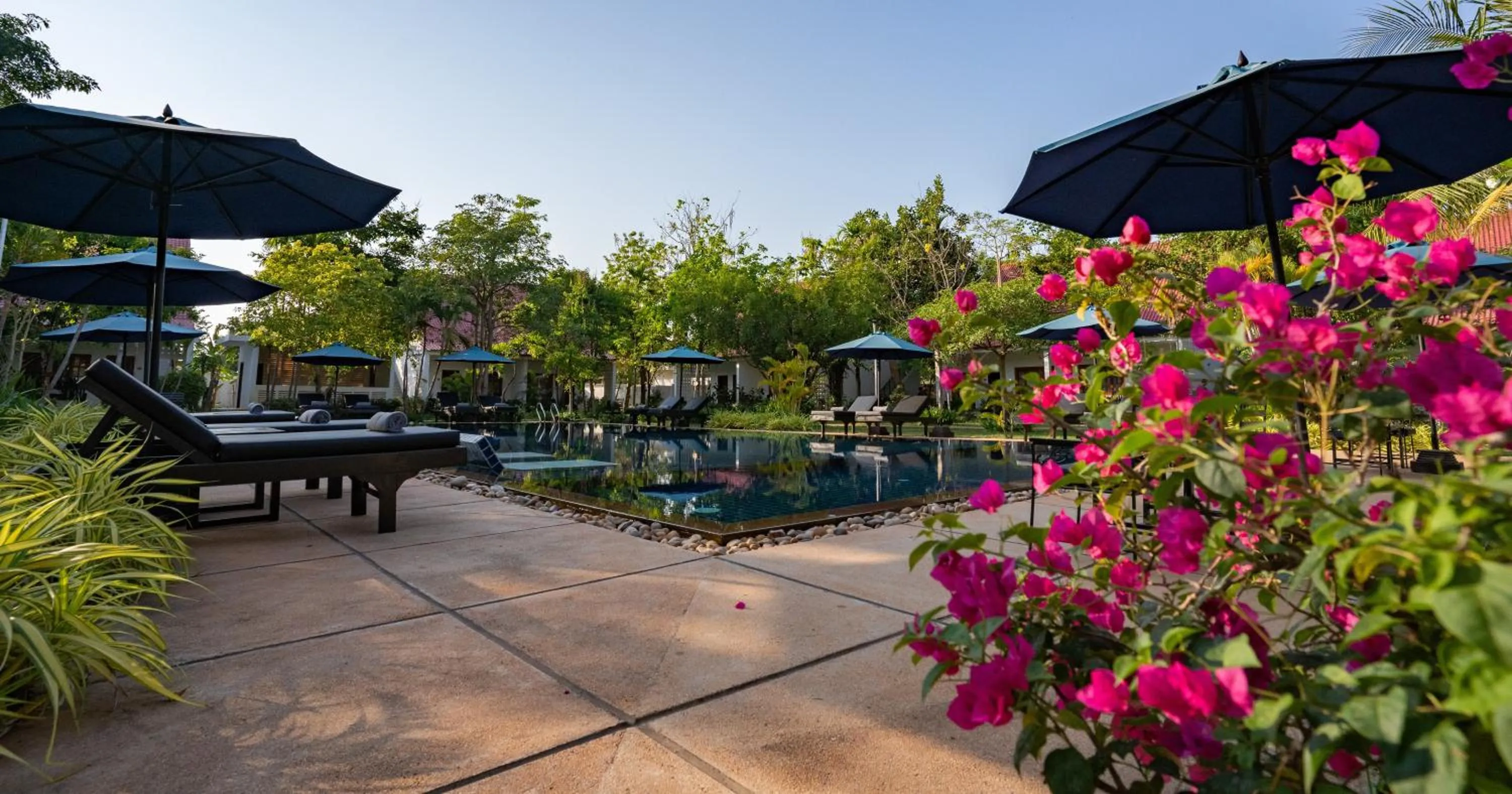 Natural landscape in Amazing Smile Angkor Resort