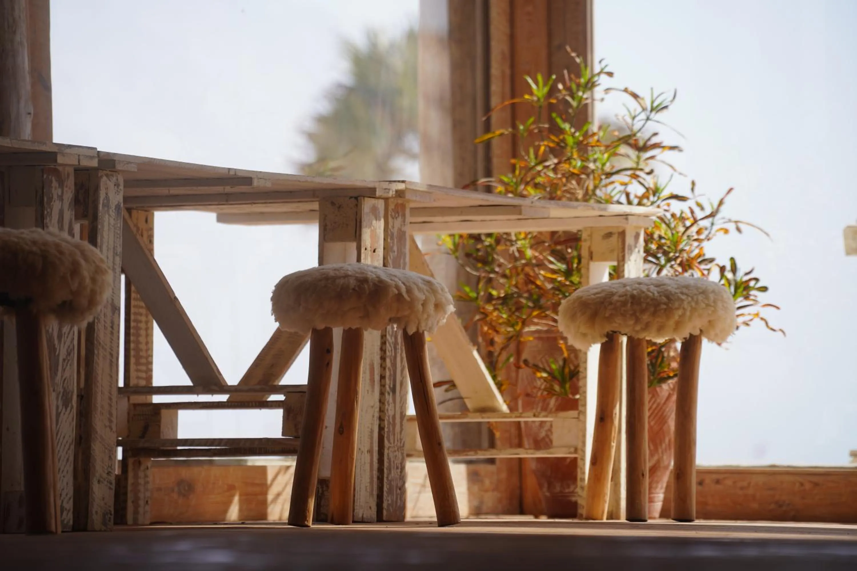 Restaurant/places to eat in Desert Sands Dakhla Lagoon View & Kitesurf Spot