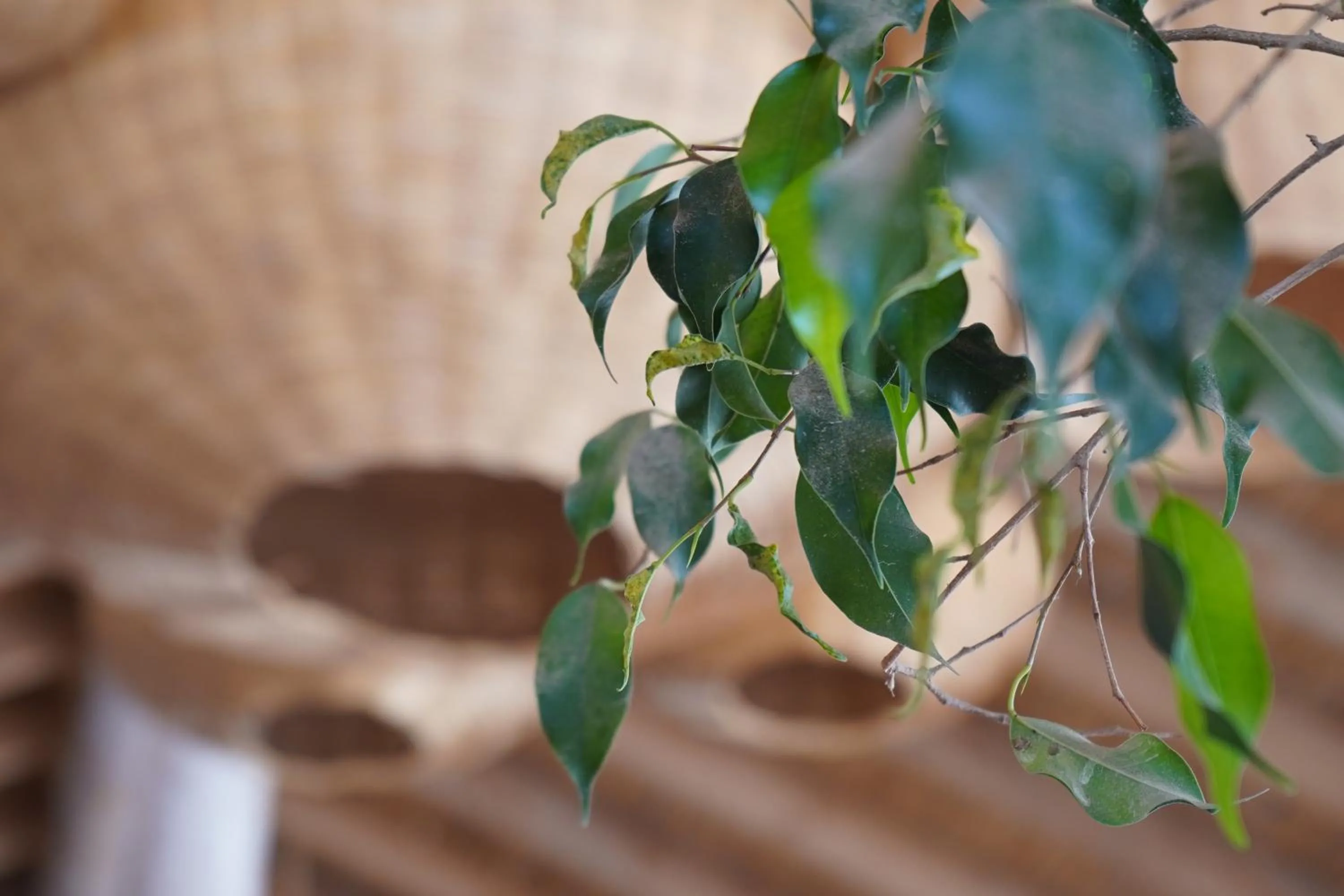 Day in Desert Sands Dakhla Lagoon View & Kitesurf Spot