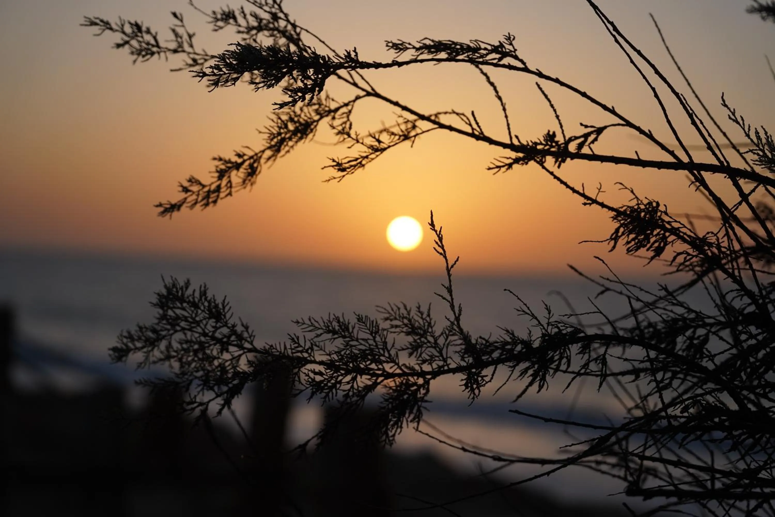 Day in Desert Sands Dakhla Lagoon View & Kitesurf Spot