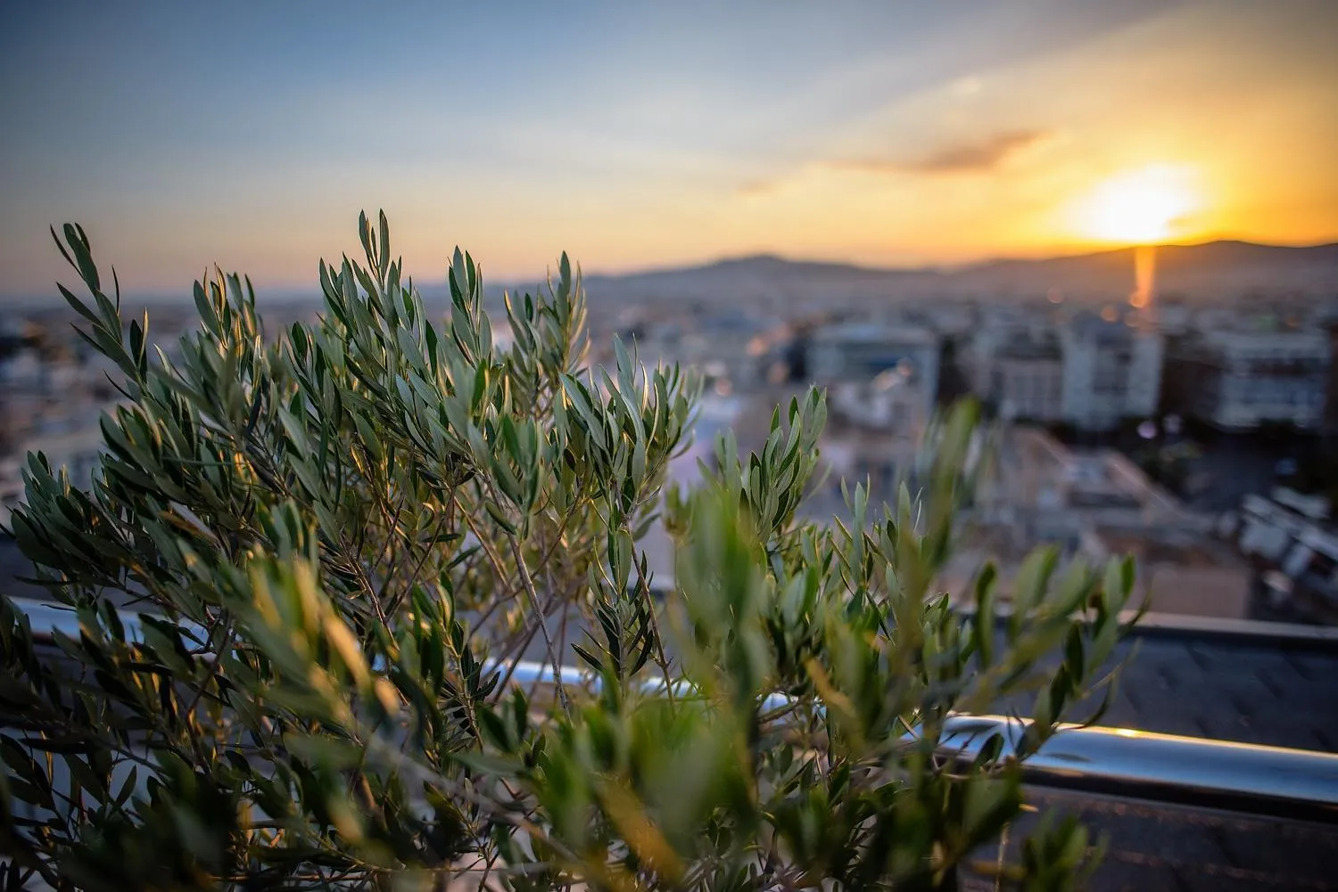 Restaurant/places to eat in Radisson Blu Park Hotel Athens