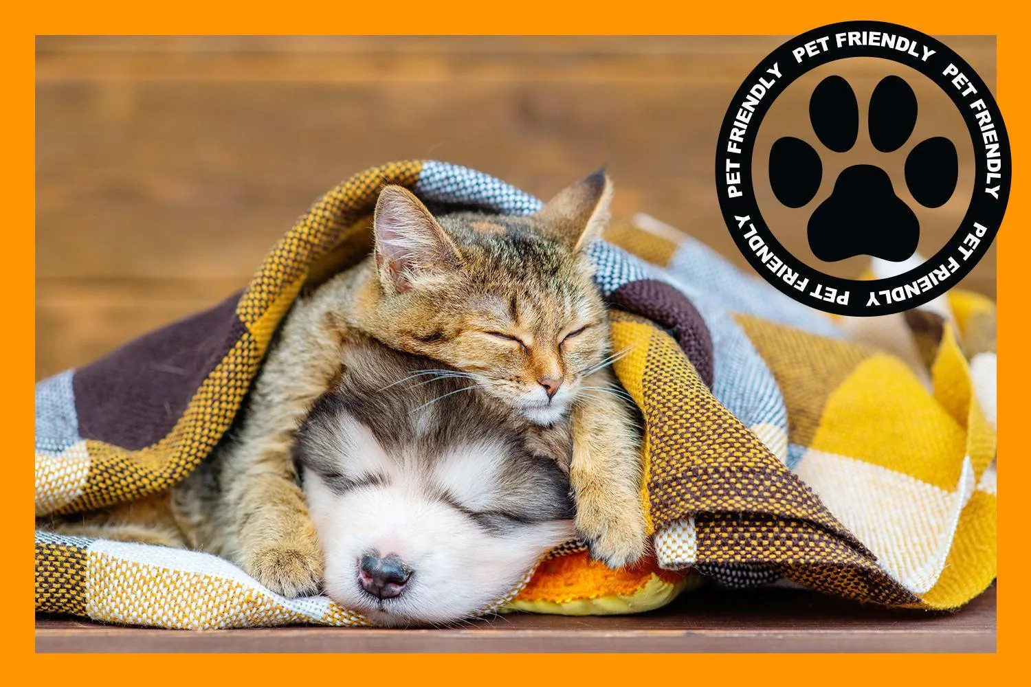 Pets in Marmalade by Cloud Dream Homes