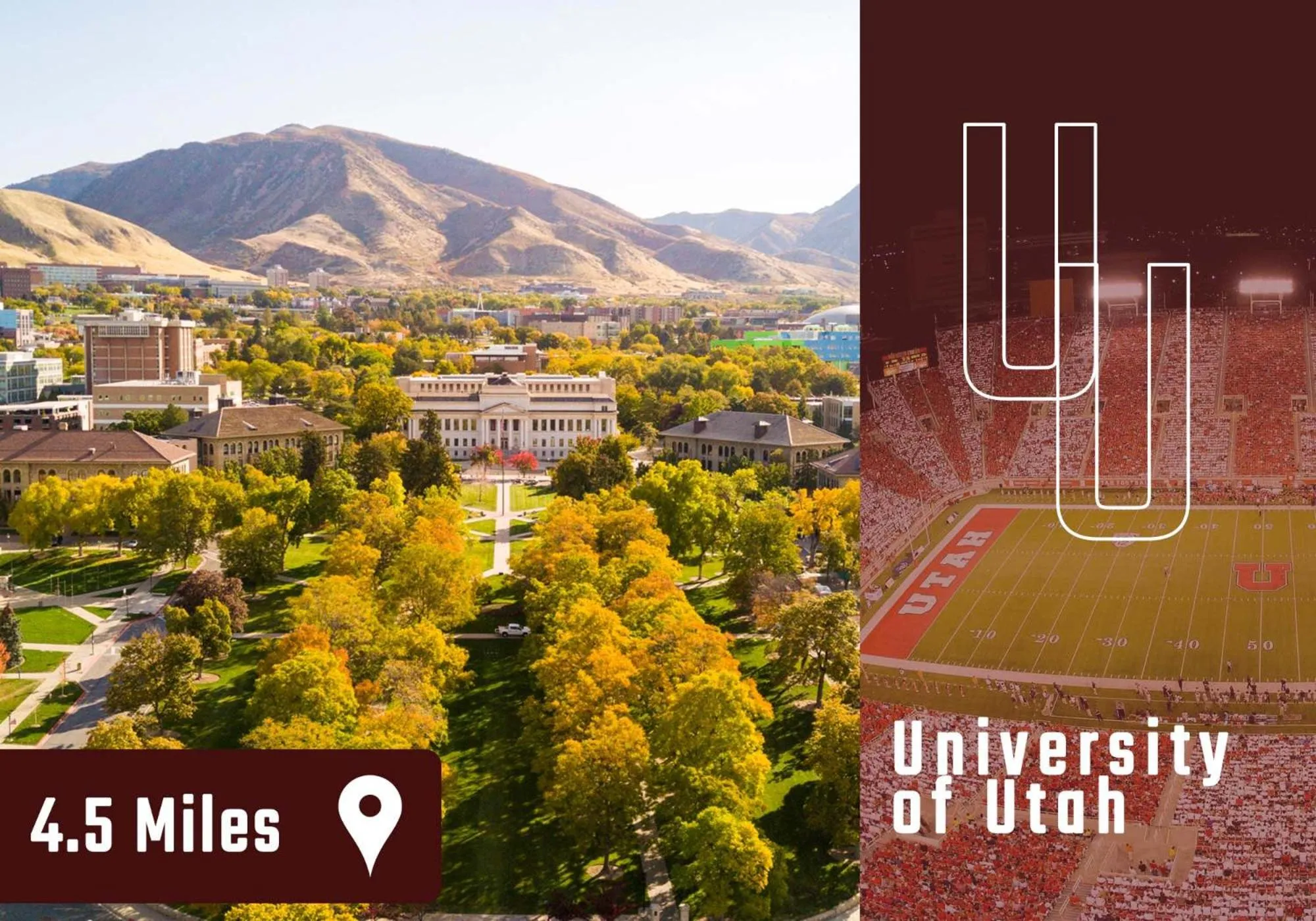 Neighbourhood in Marmalade by Cloud Dream Homes