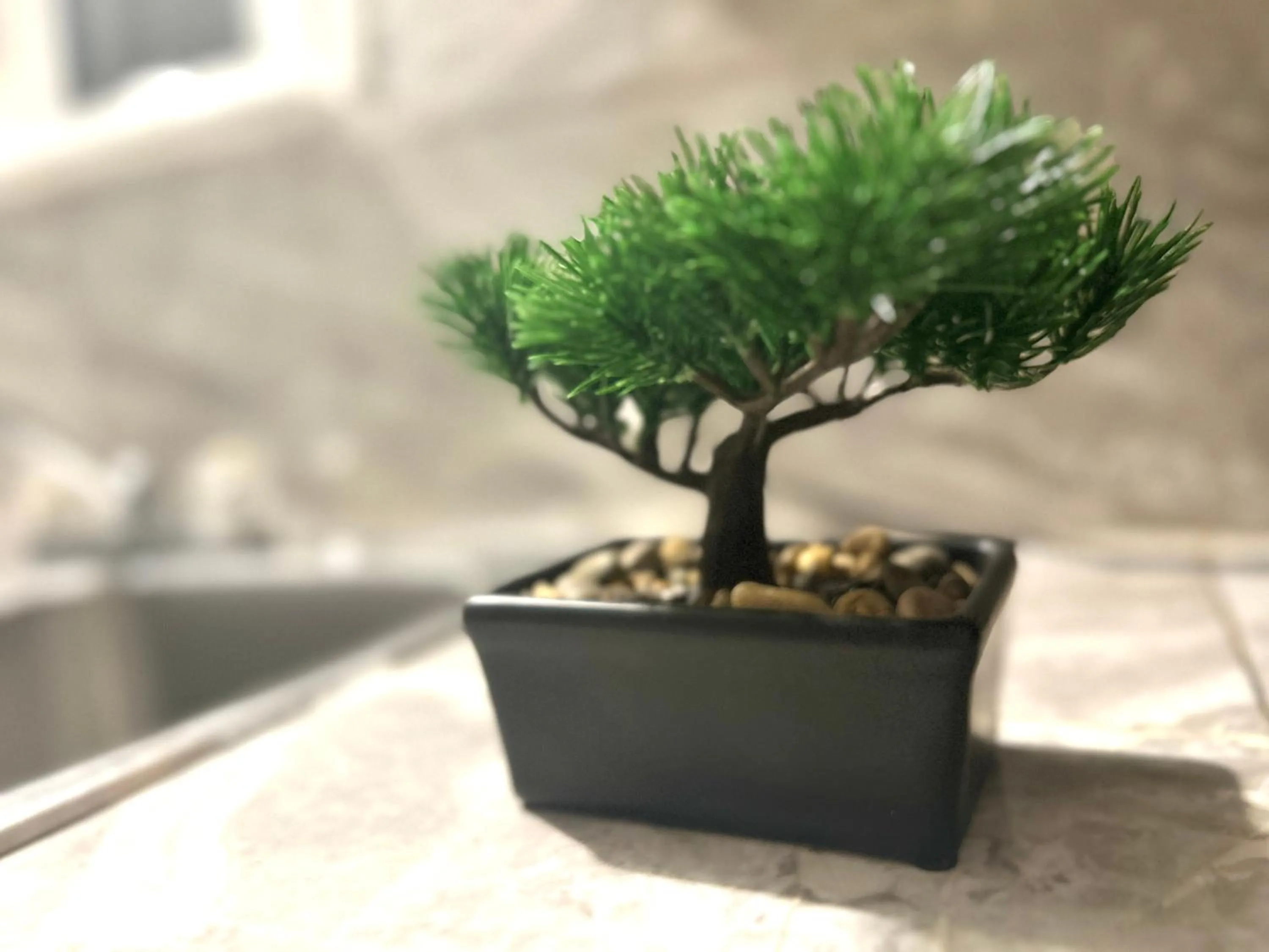 Property building in Albert Housing