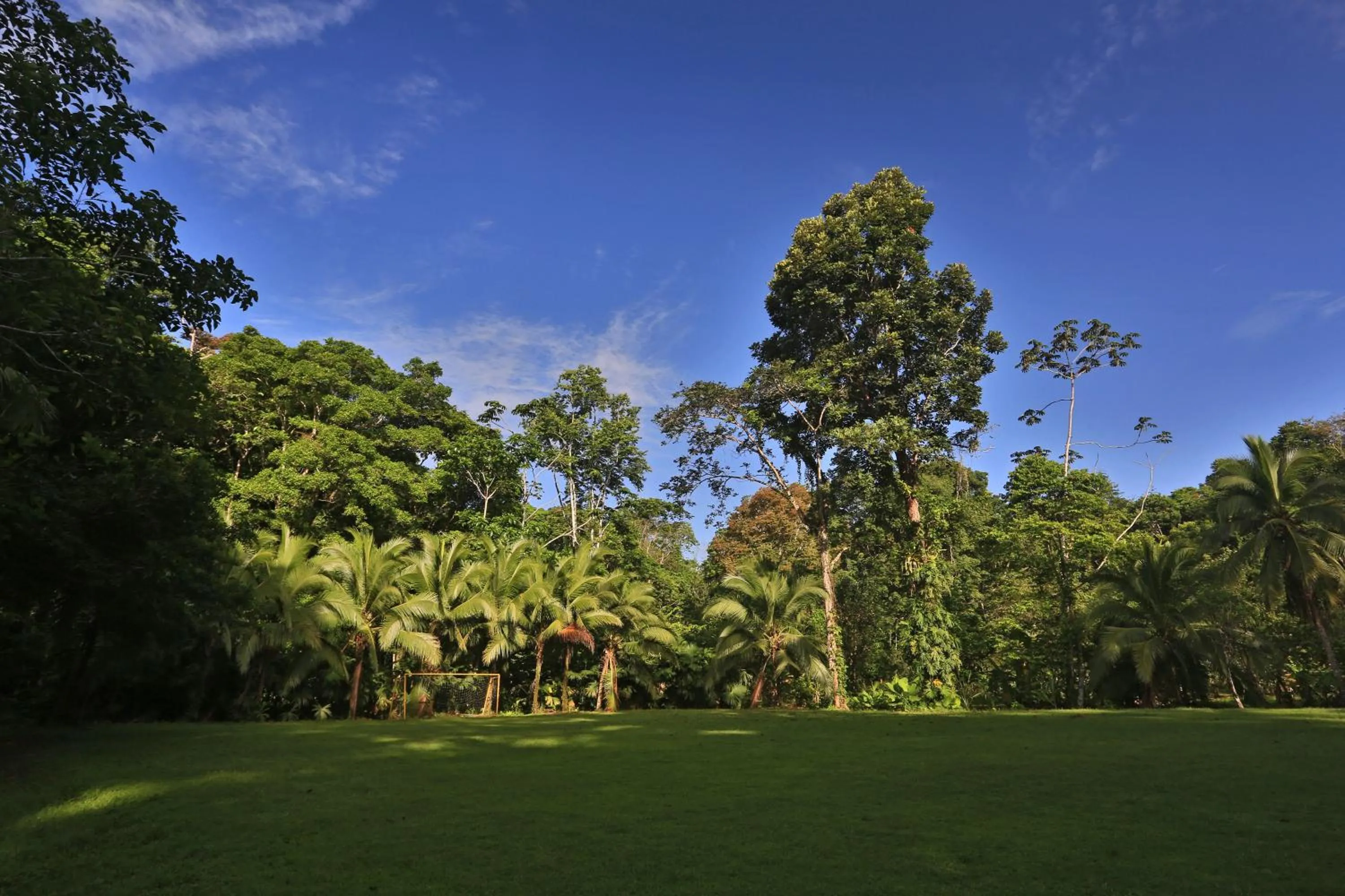 Natural landscape in Manzanillo Caribbean Resort