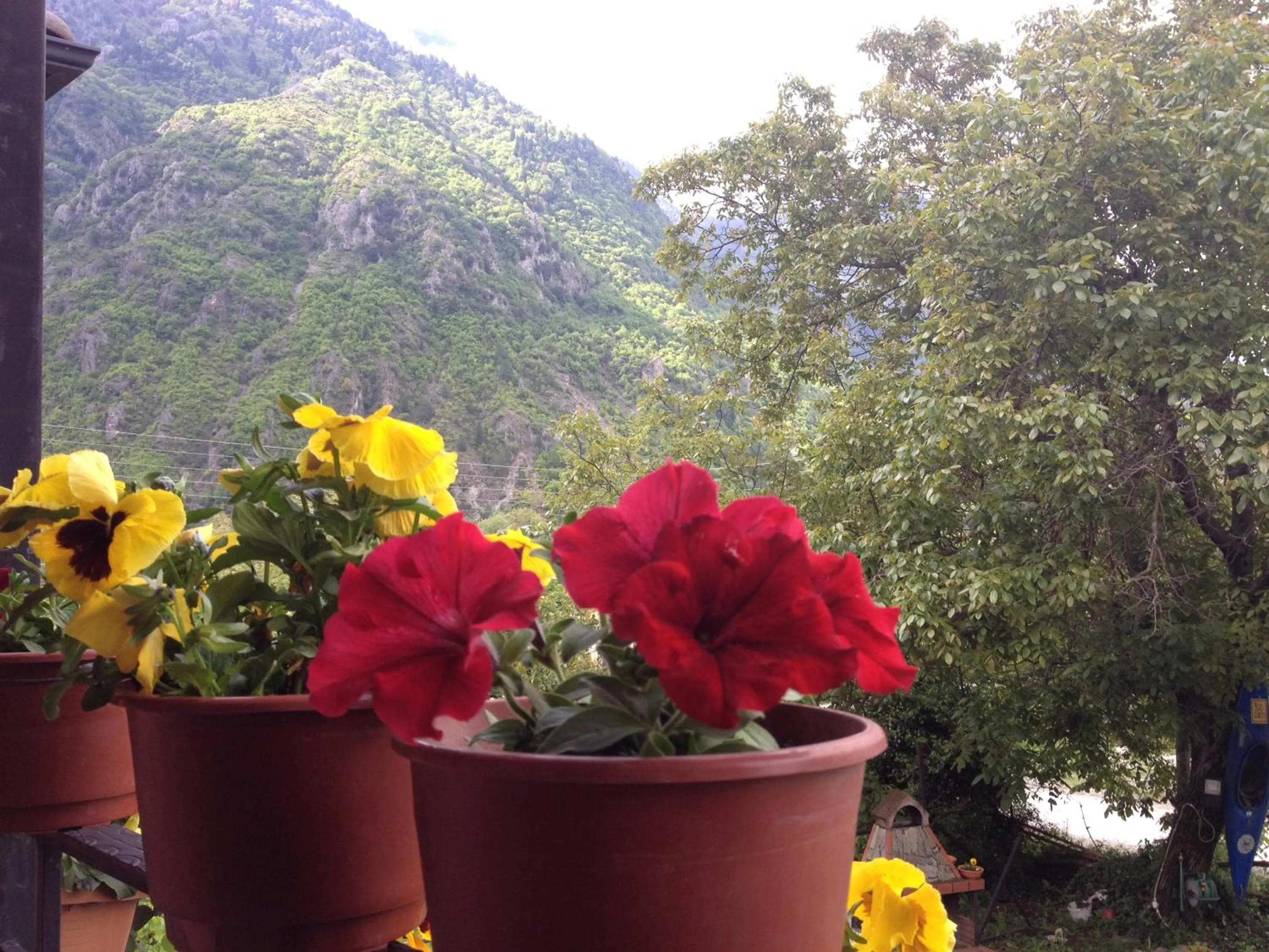 Garden view in Artemis Apartments