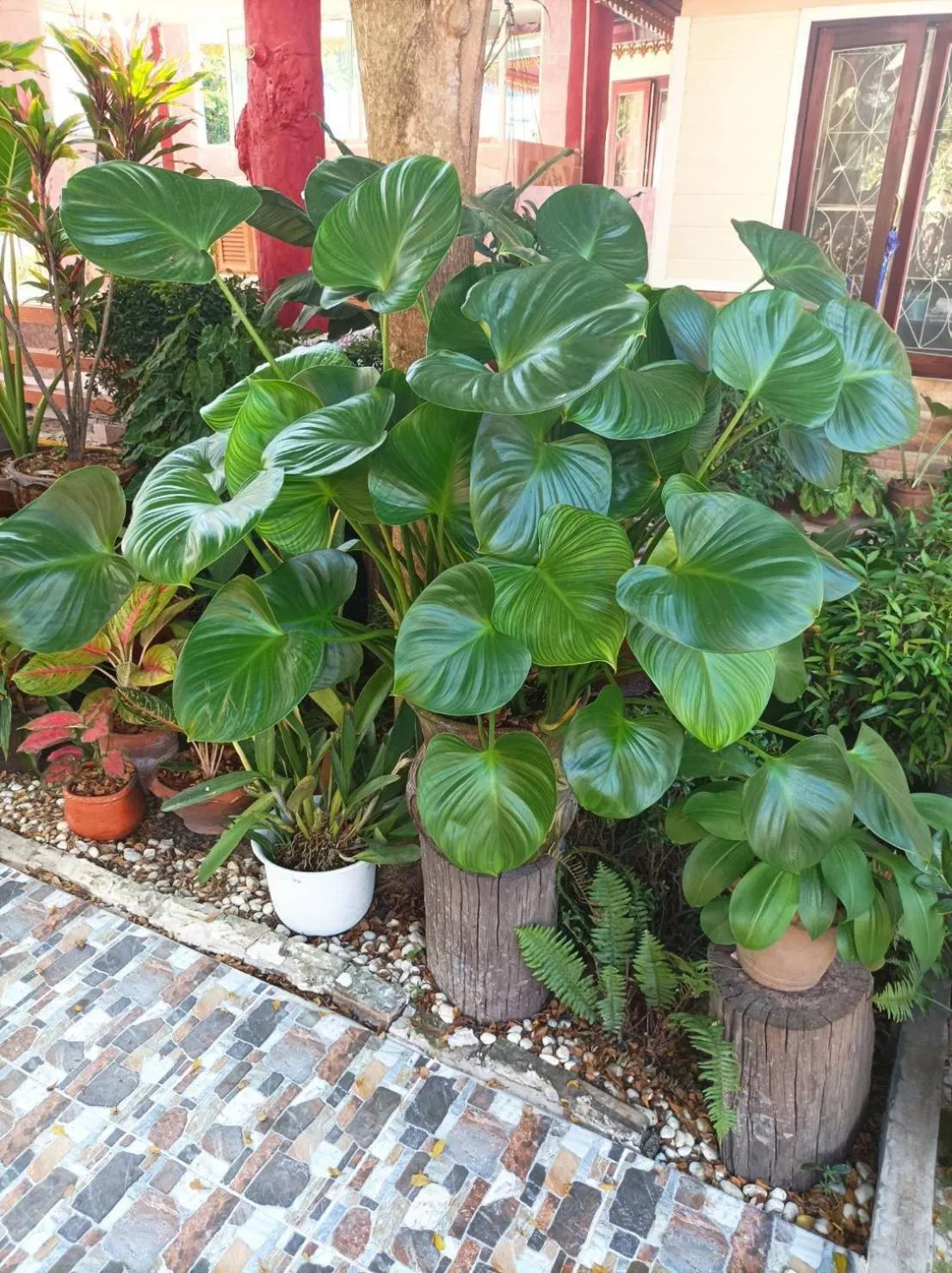 Day in Vimanmek Resort