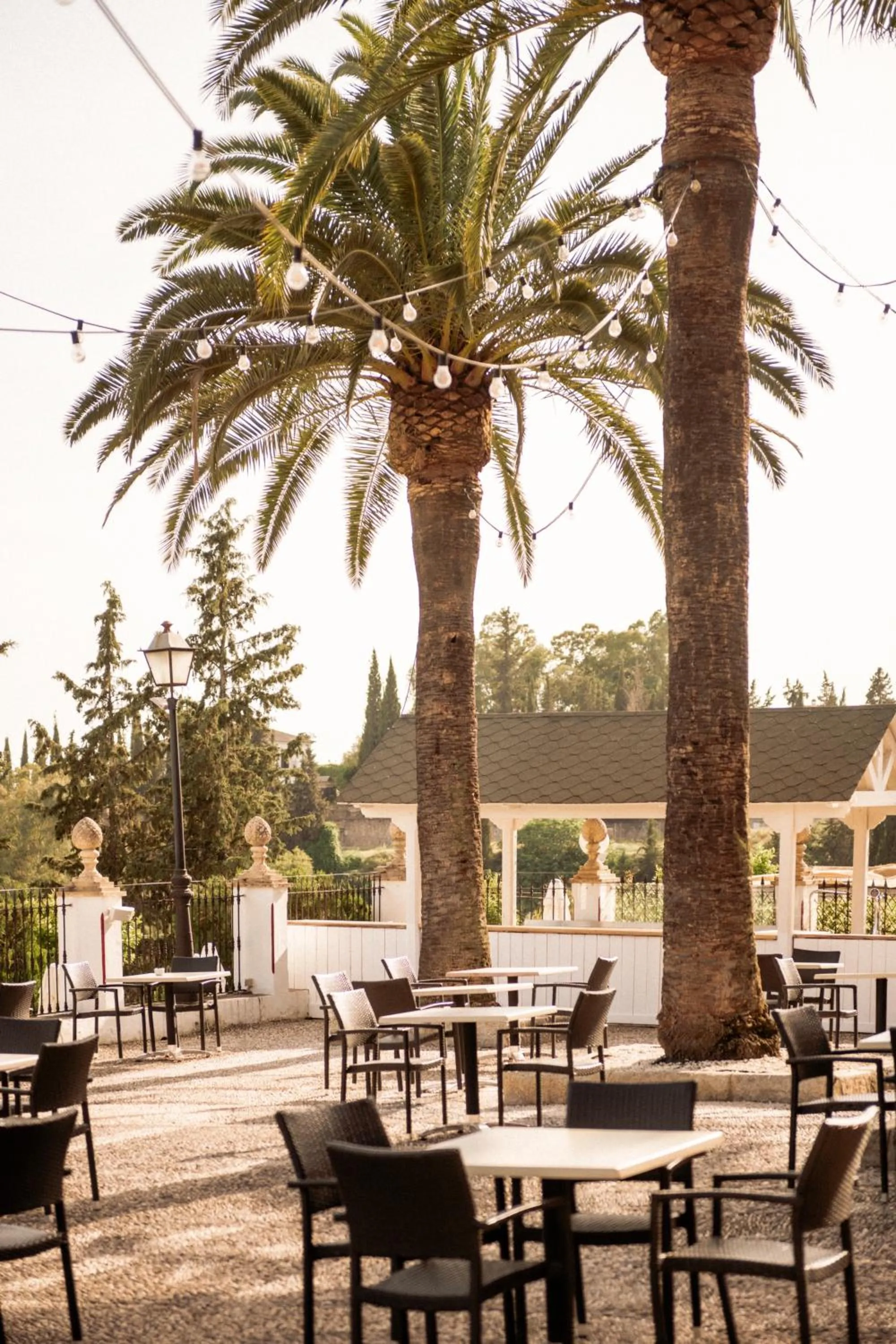 Restaurant/places to eat in DWO Finca Los Abetos