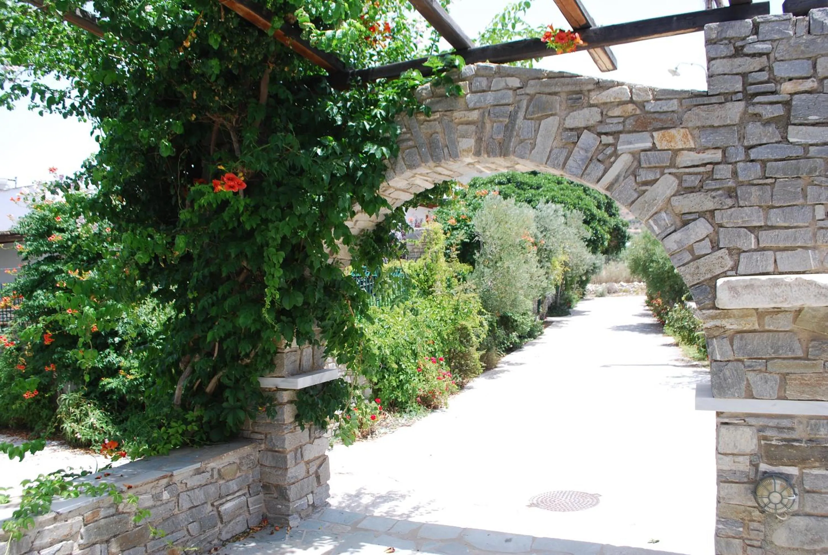 Garden view in Siroco's Rooms And Studios