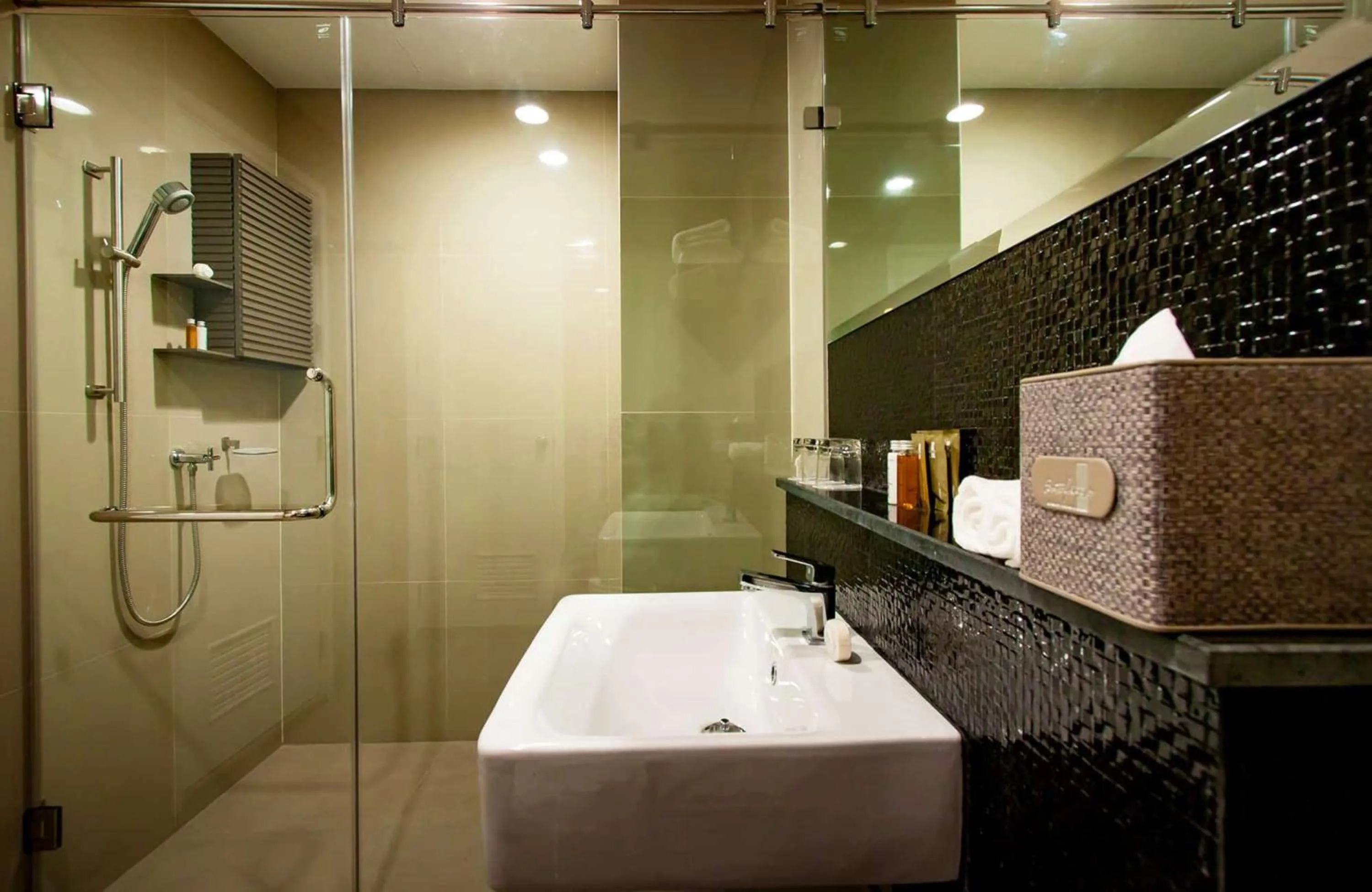 Shower in Brique Suite
