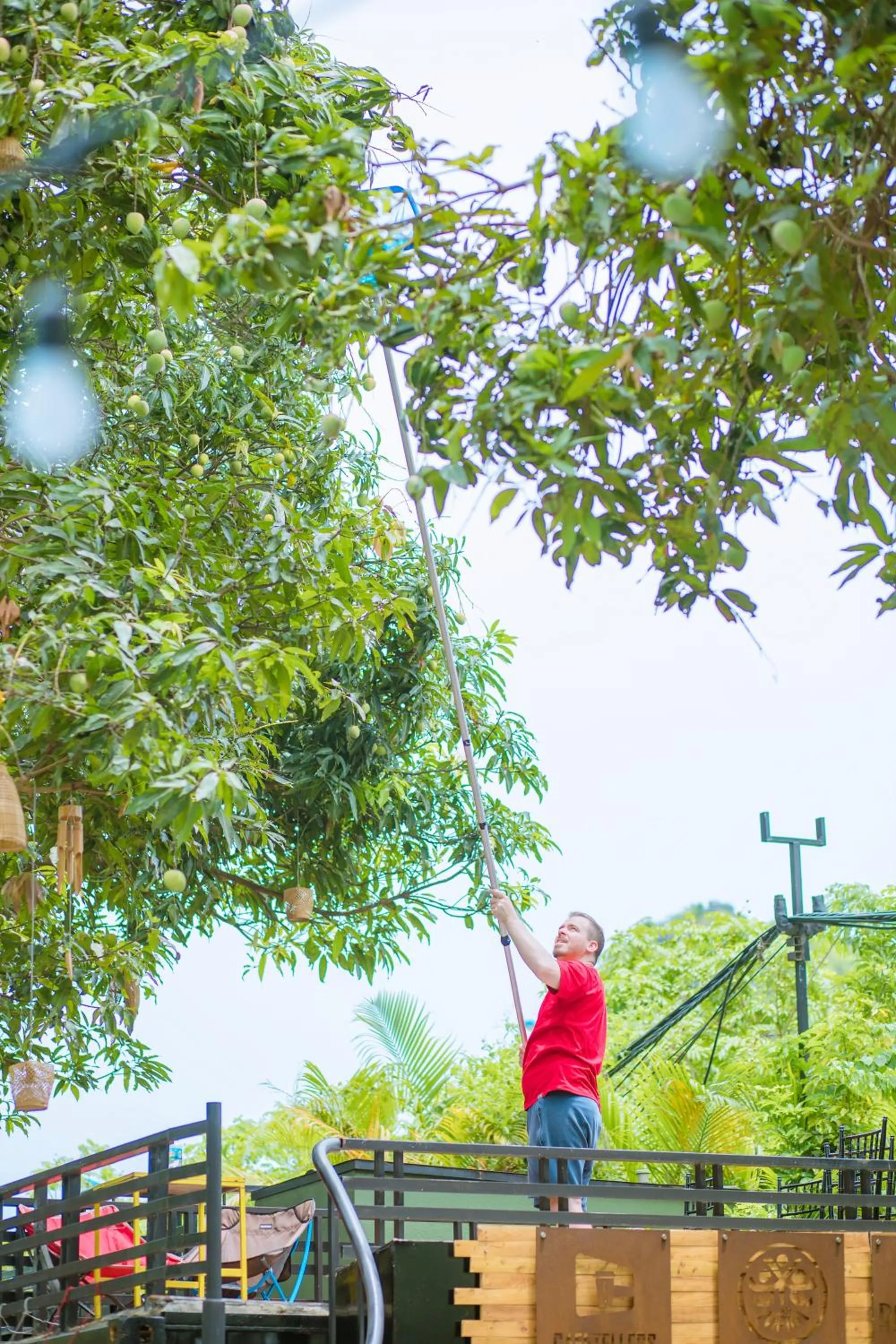 Spring in Republic Hostel Cat Ba