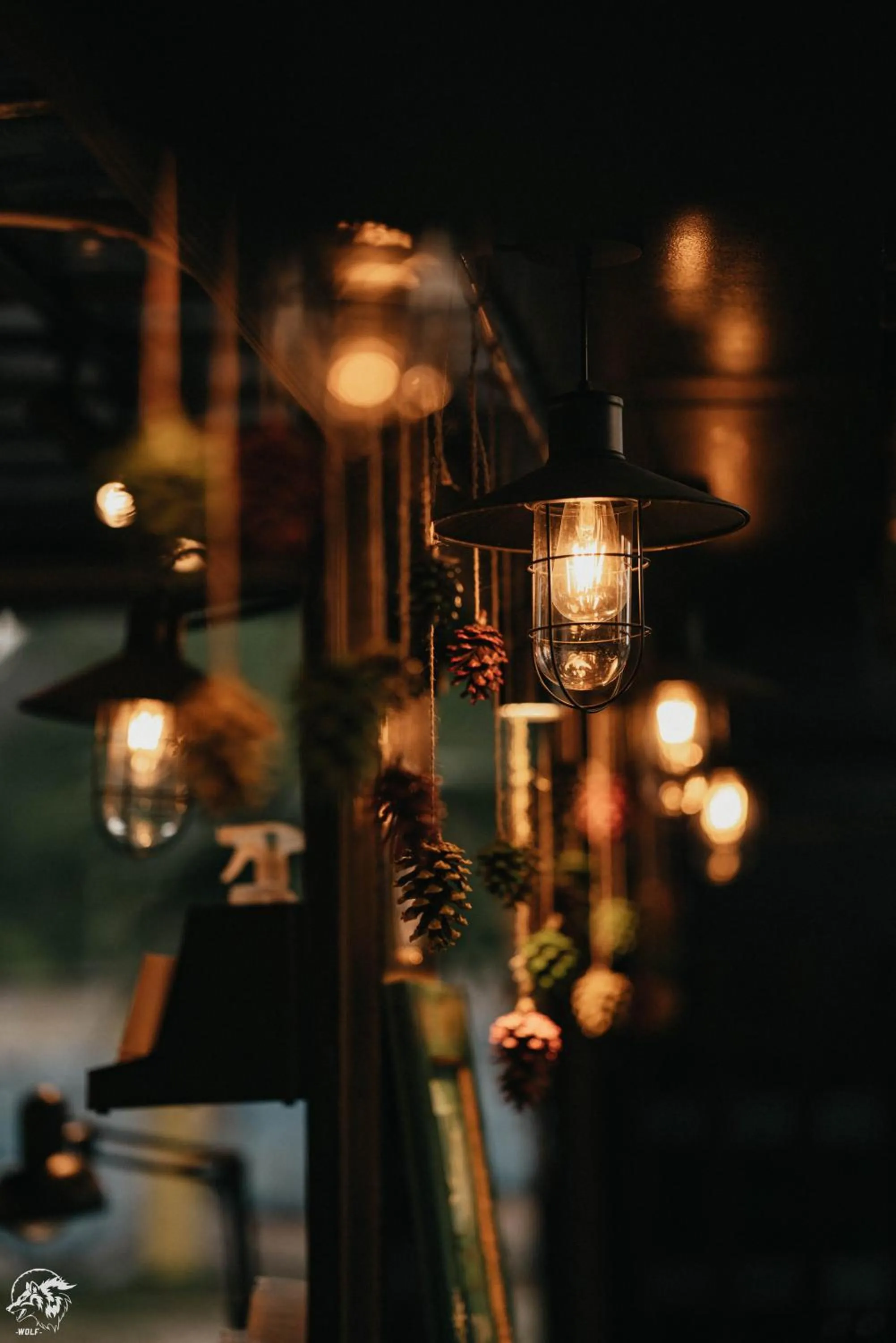 Night in Republic Hostel Cat Ba