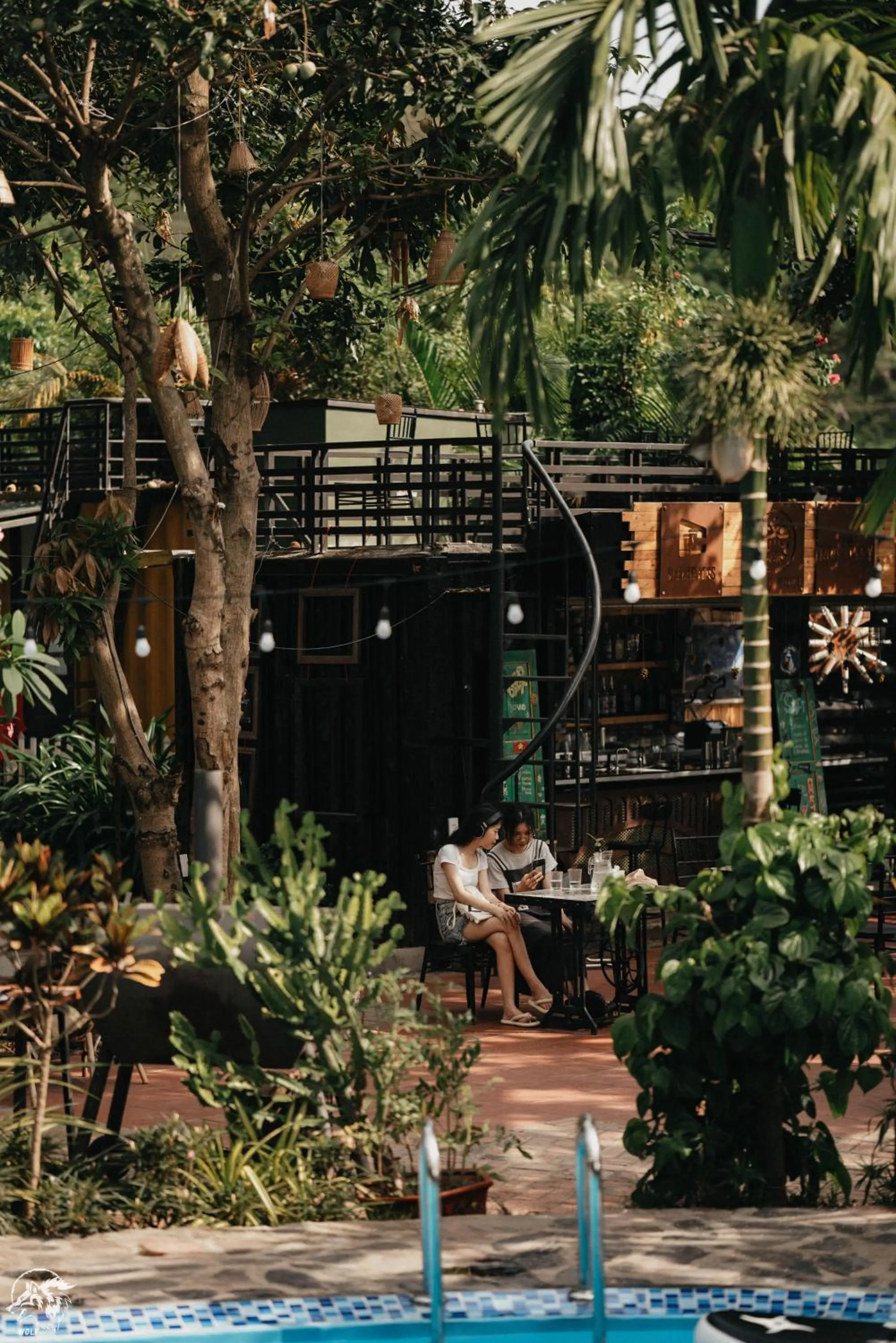 Spring in Republic Hostel Cat Ba